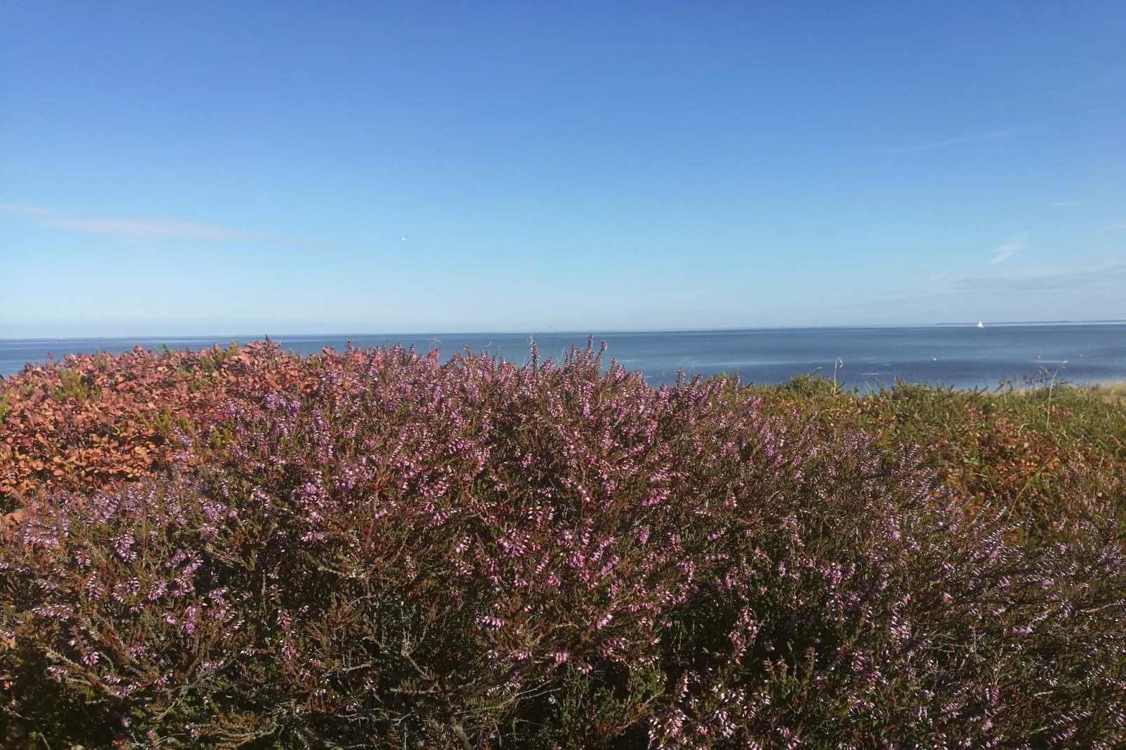 6 person holiday home in Hemmet-Water view