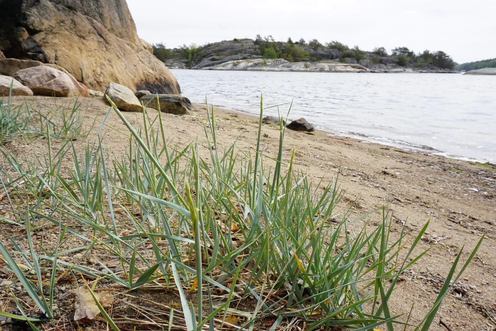 Peaceful Coastal Getaway on Oddo-Untagged