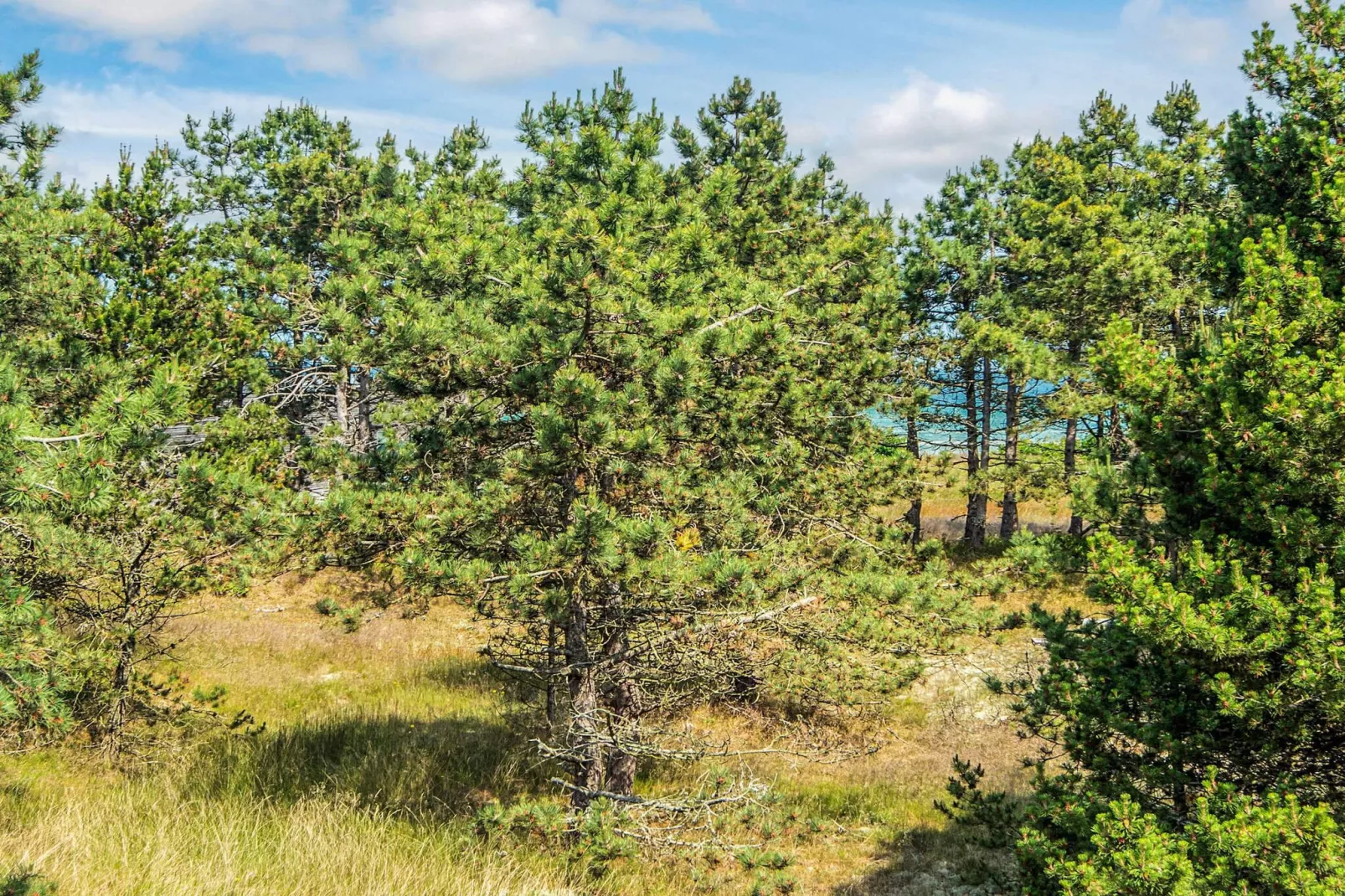 Serenite en bord de mer a Fjellerup-By Traum-Vue