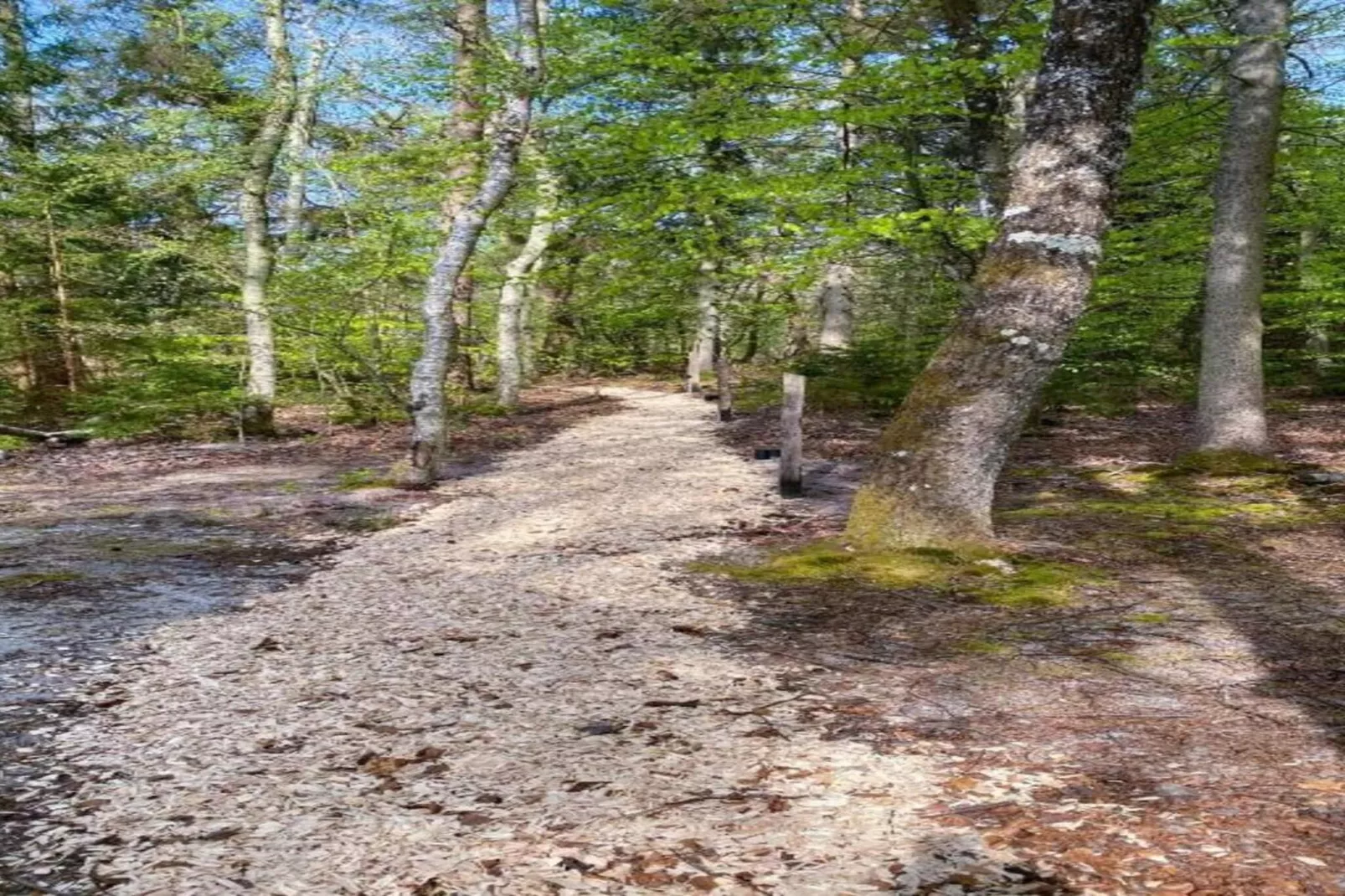 Maison de vacances pour 7 a Hadsund-Non tagué