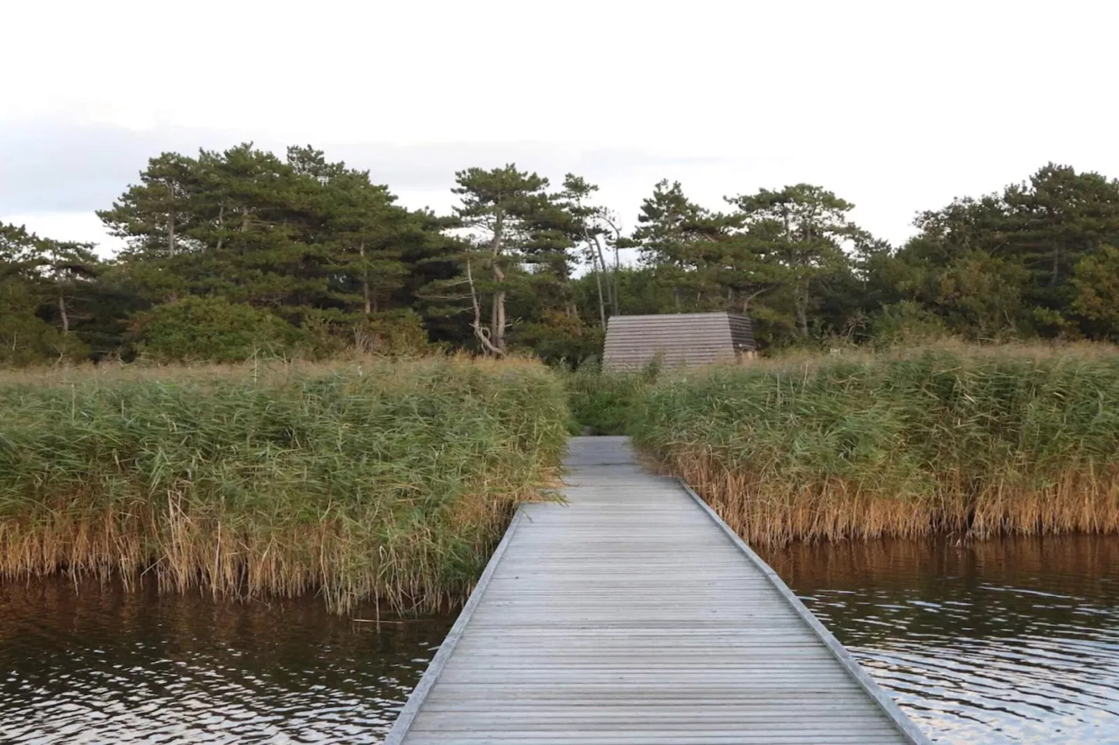 6 Personen Ferienhaus in Vig-Wasserblick