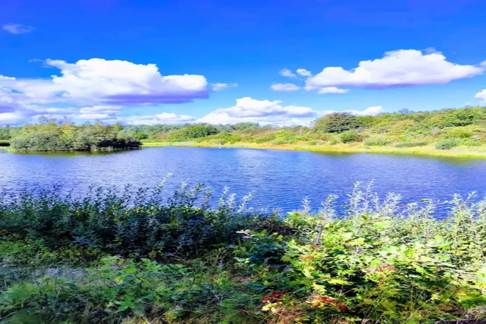4 person holiday home in Toftlund-Water view