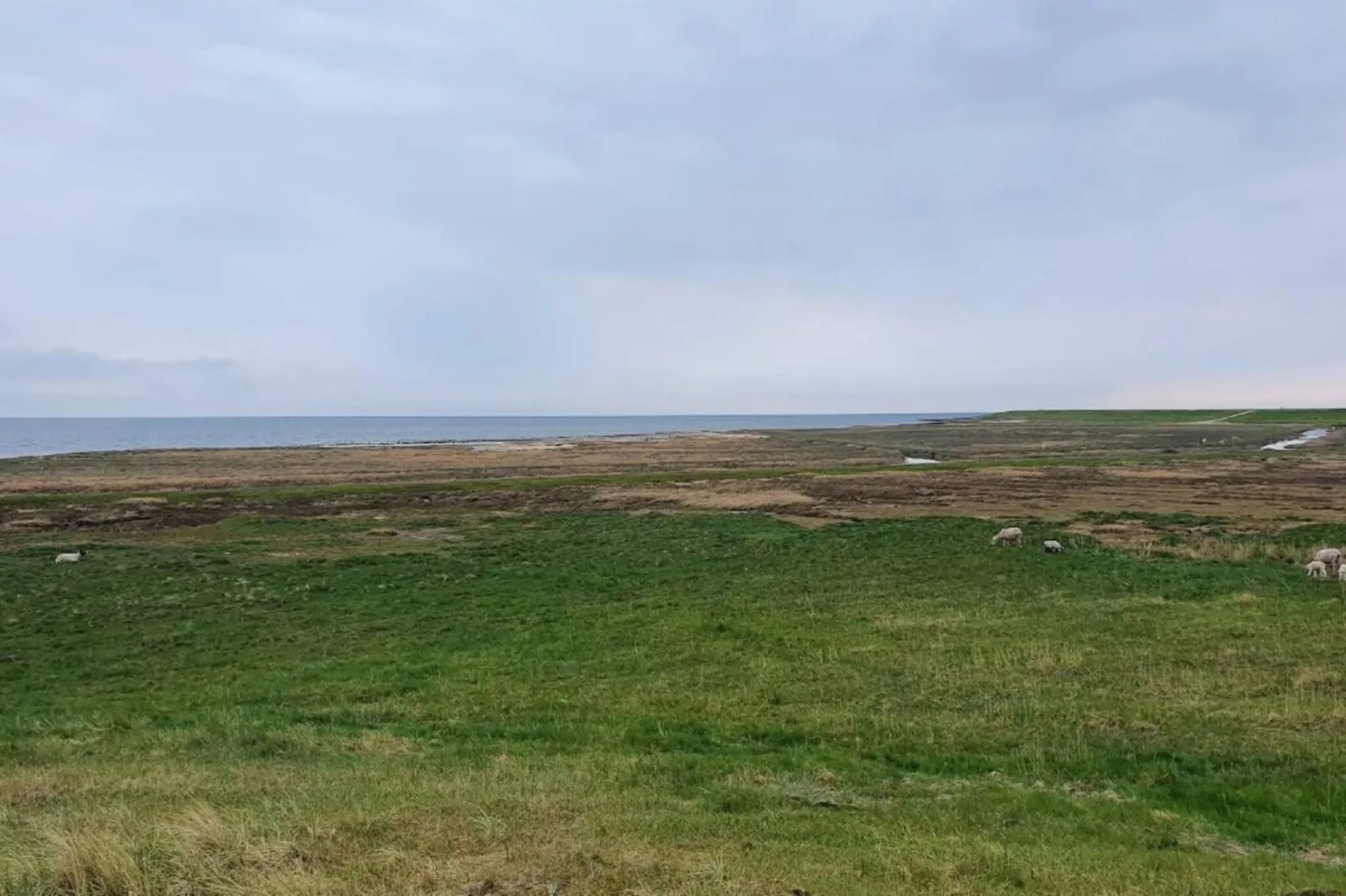 4 person holiday home in Rømø-By Traum-Water view