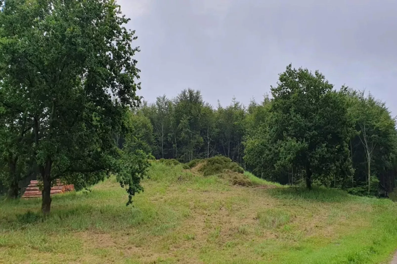 8 Personen Ferienhaus in Løgstør-By Traum-Nicht zugeordnet