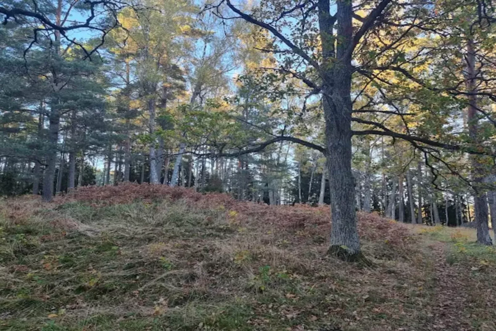 4 Personen Ferienhaus in INGARÖ-By Traum-Nicht zugeordnet