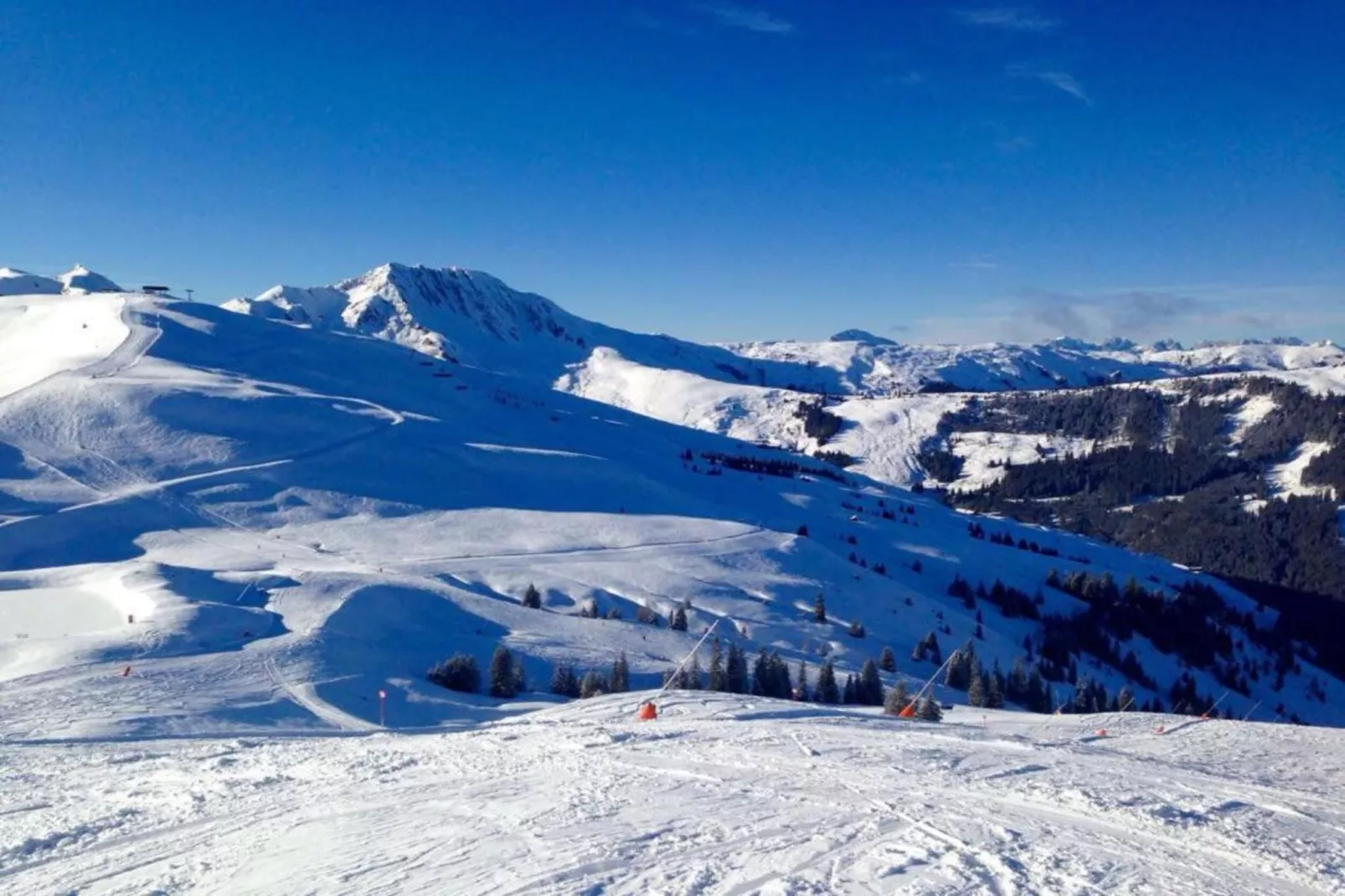 Oberkranzhof xl-Area within 20km in winter