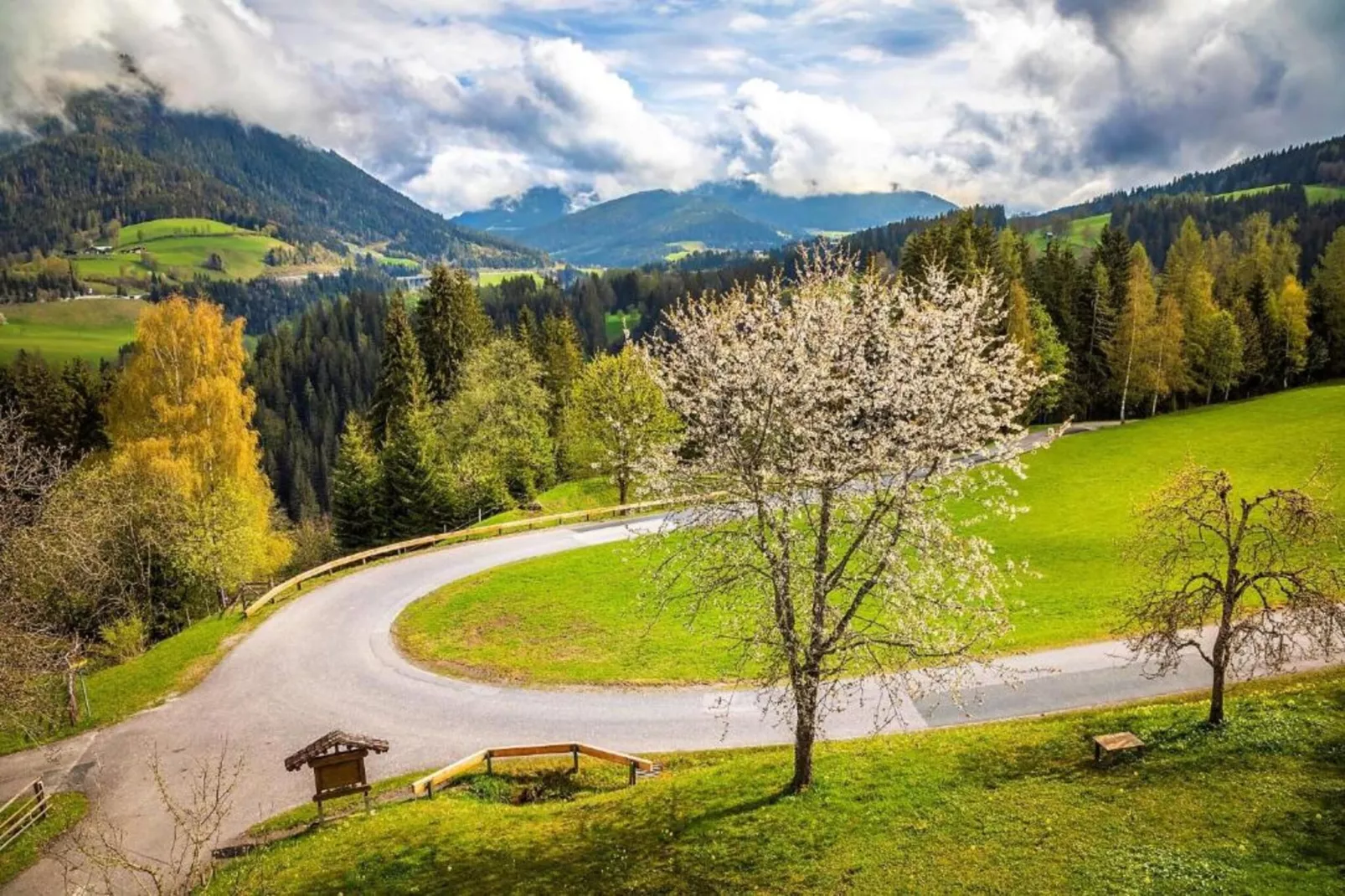 Oberkranzhof-Zones été à 20 km