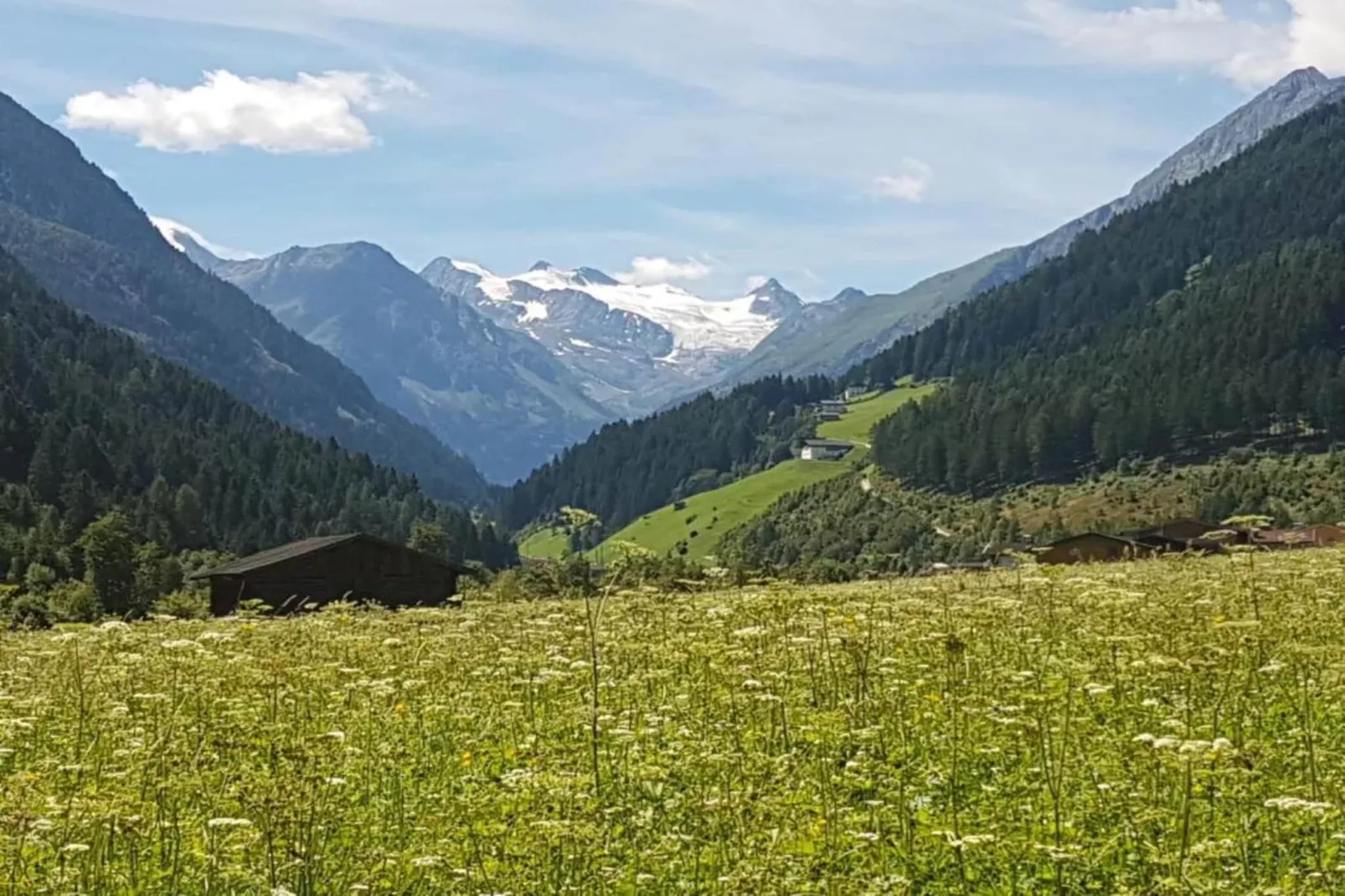 Apartment 12-Gebiete Sommer 20 km