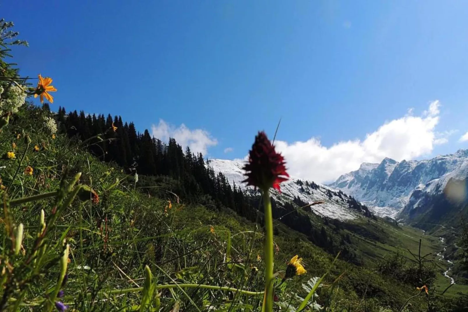 Bials-Areas within 20km in summer