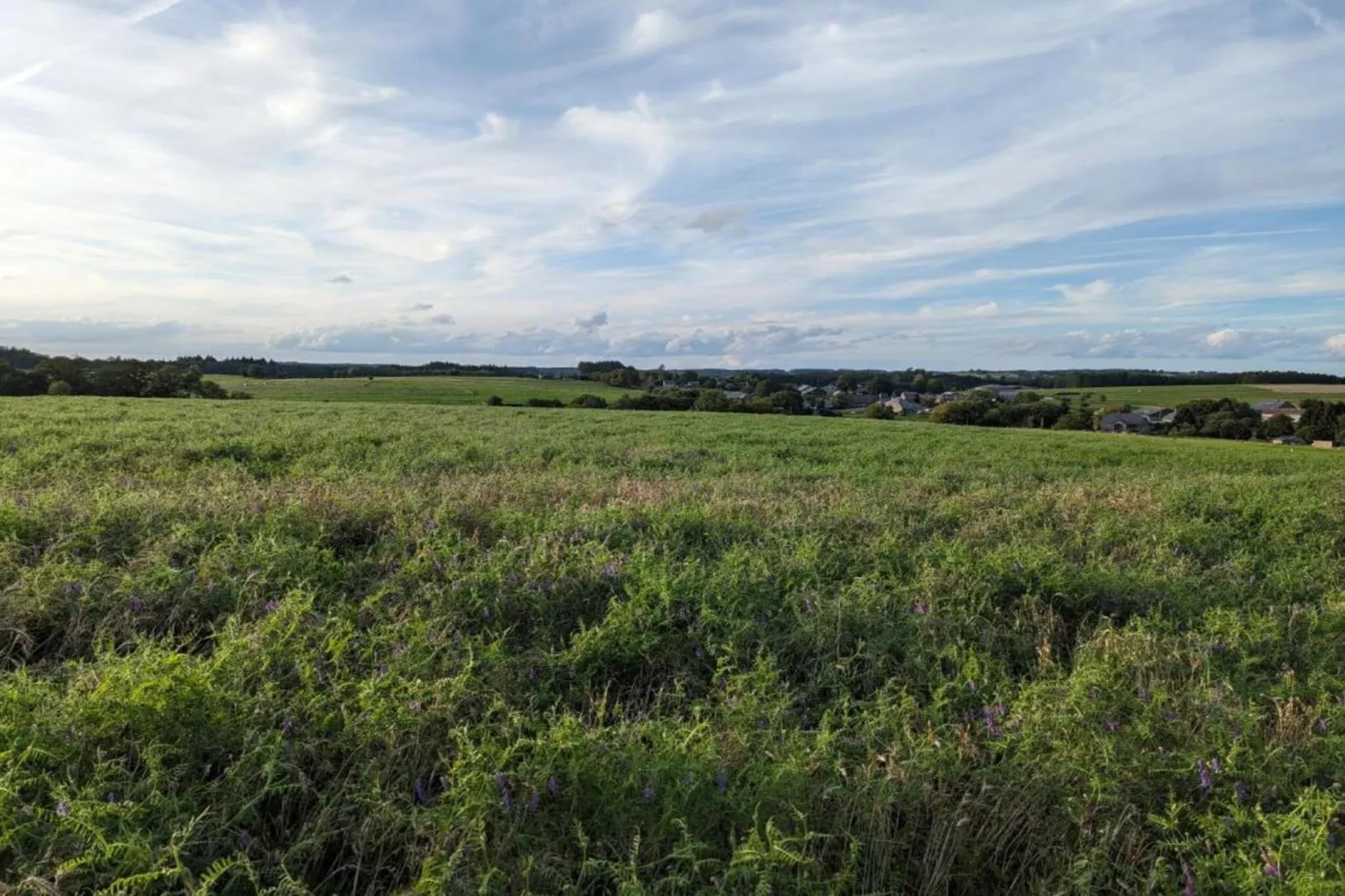 La Ferme Tirou-Gebiete Sommer 5 km