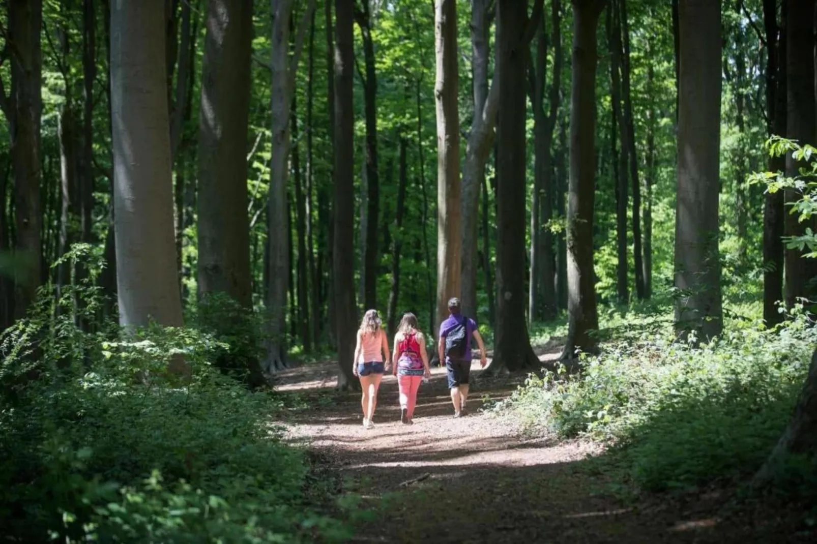 Het Bloesemklooster-Areas within 20km in summer