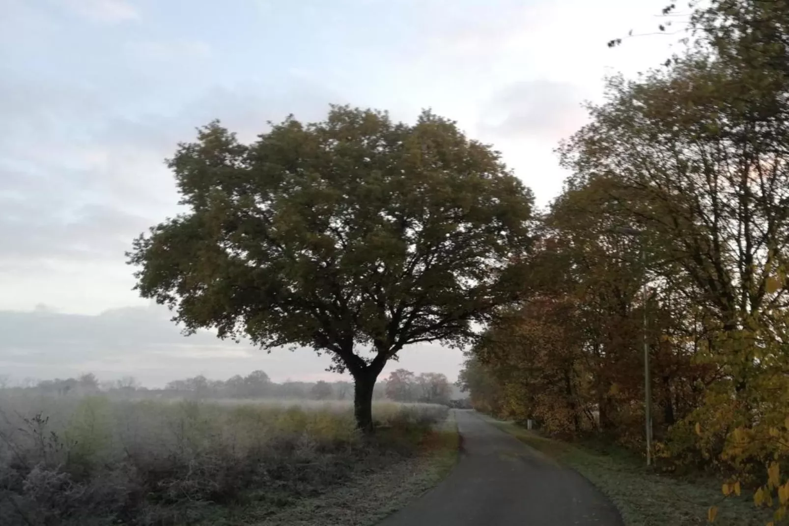 Broville-Gebiete Sommer 20 km
