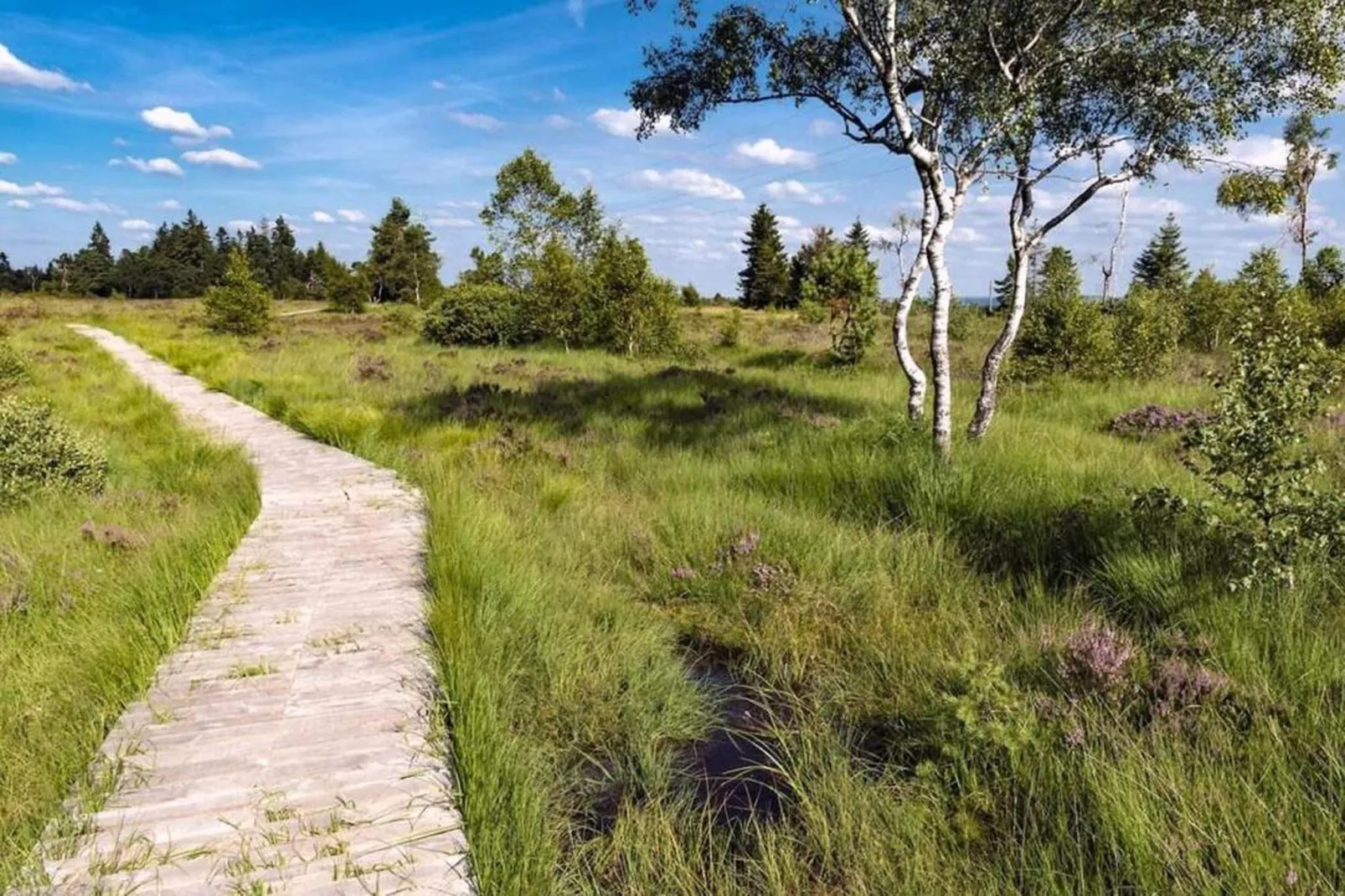 Le Chateau de Balmoral - 34 pers-Areas within 20km in summer