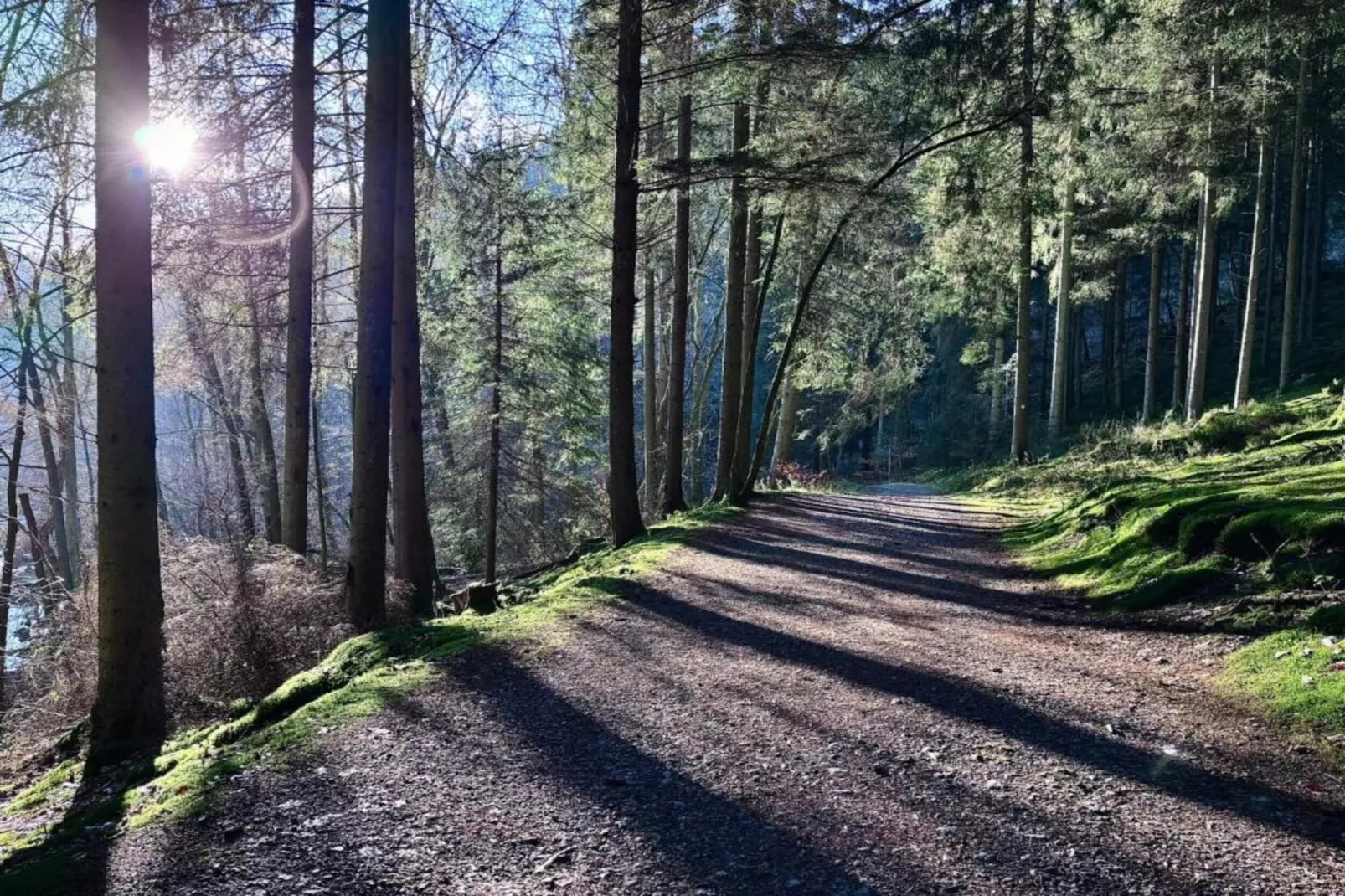 De Sterrenhemel-Gebiete Sommer 20 km