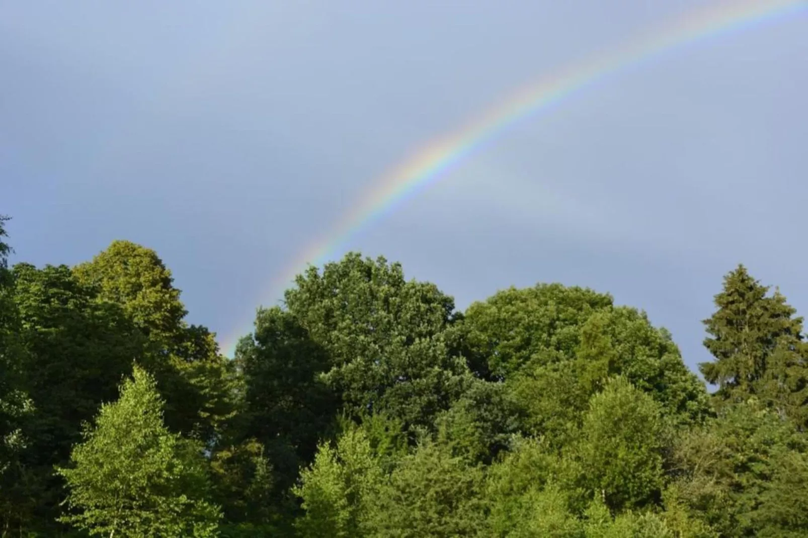 Orchidee-Areas within 20km in summer