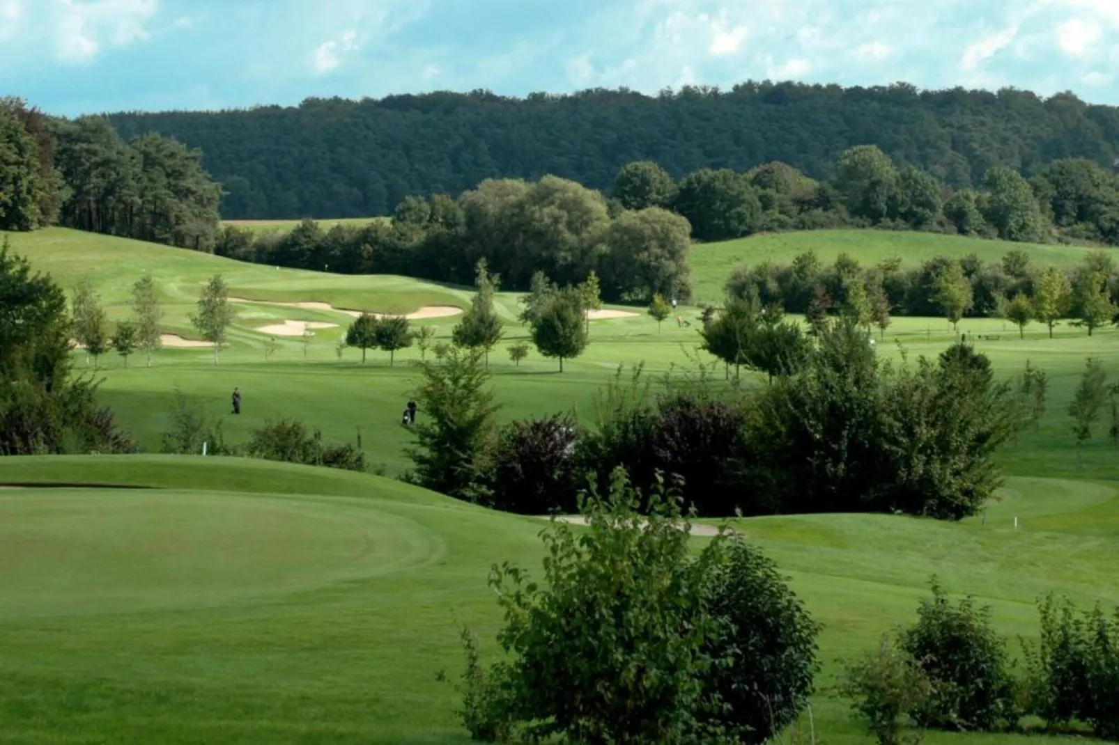 Les Sittelles-Areas within 20km in summer