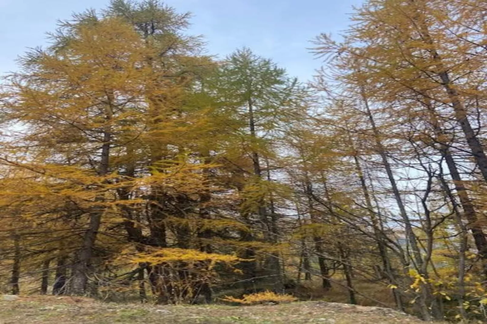 Abri Vert-Areas within 20km in summer