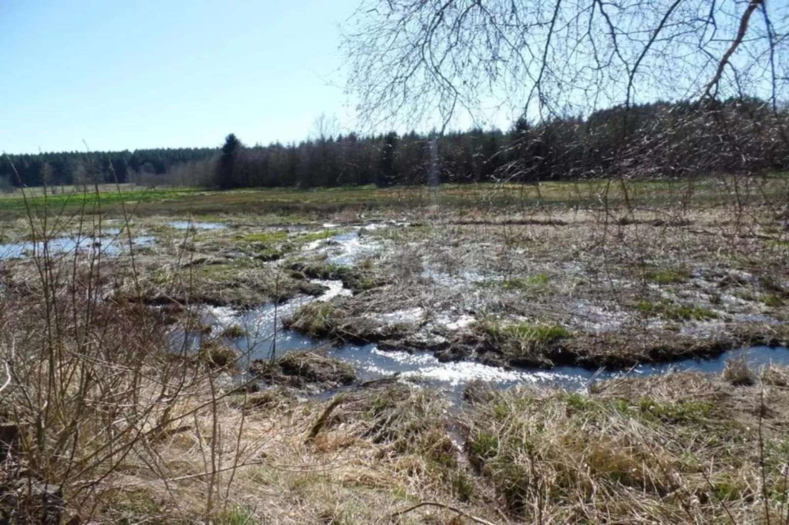 La Hetraie-Zones été à 20 km