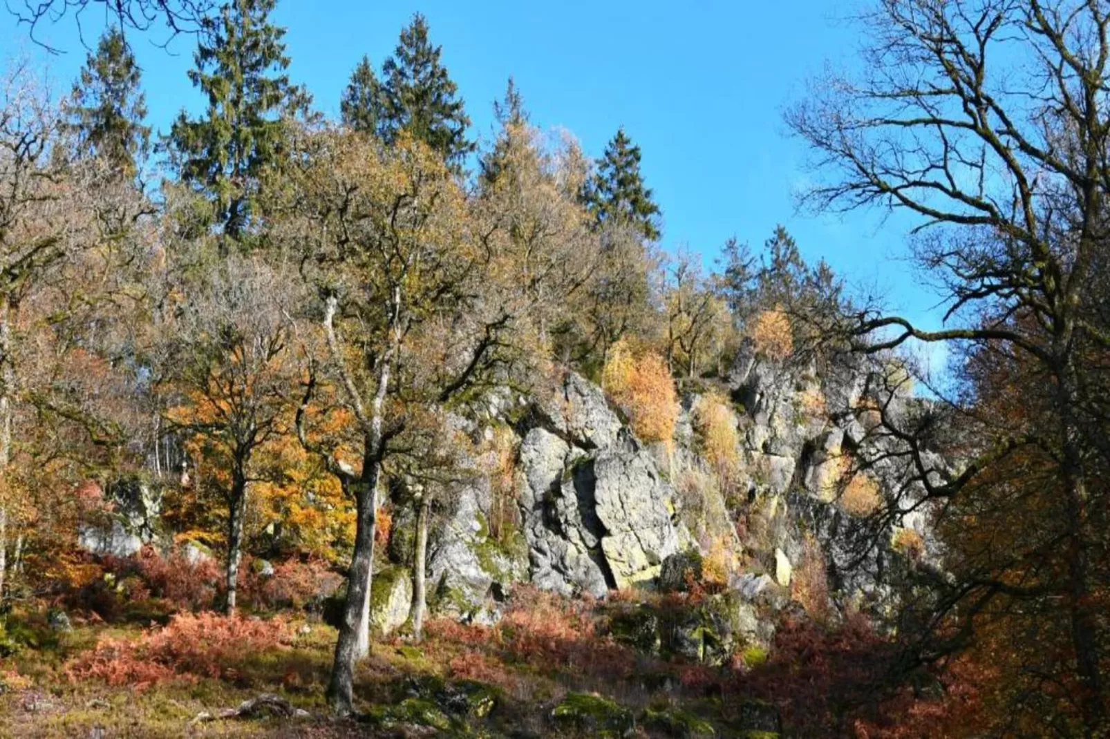 Alouette-Areas within 20km in summer