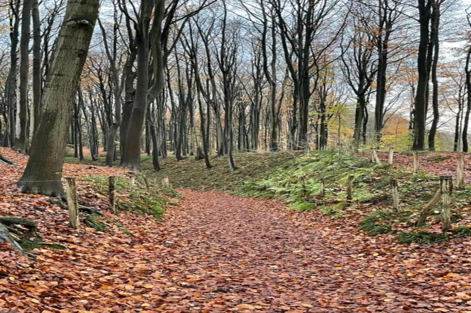 Les Tropiques-Zones été à 20 km