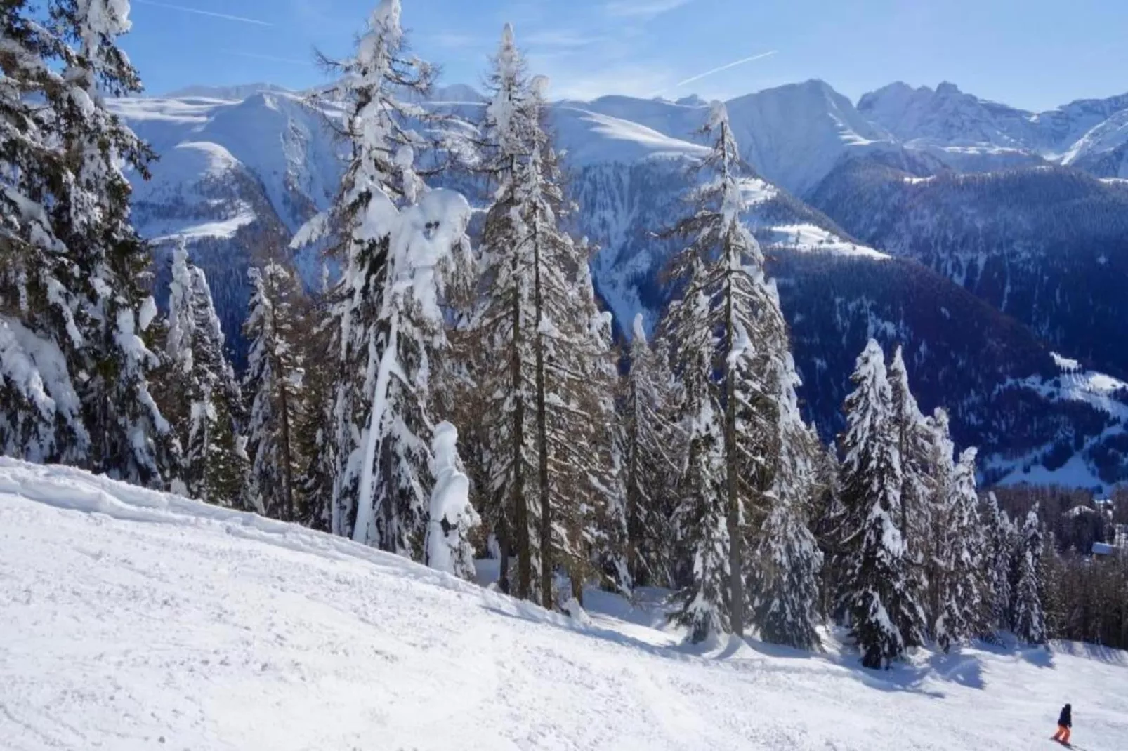 Bel Air-Area within 5km in winter