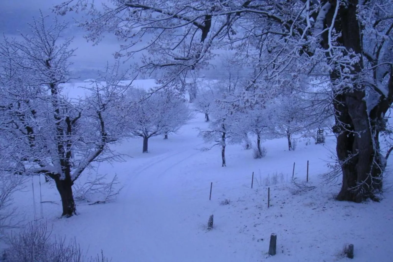 Sonnegg-Area within 5km in winter