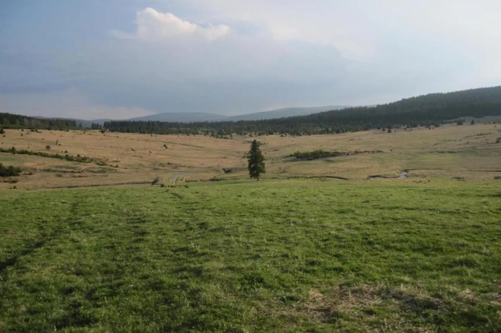 Matej-Areas within 20km in summer