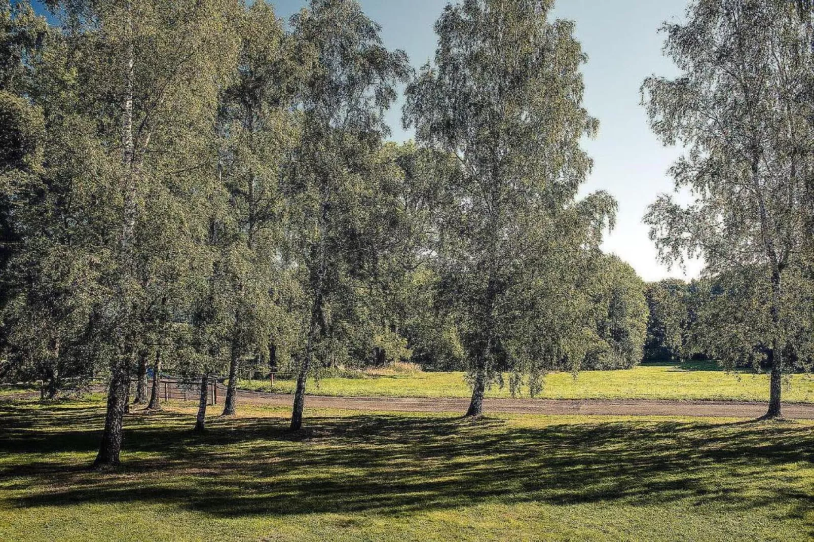 Barbora-Areas within 5km in summer
