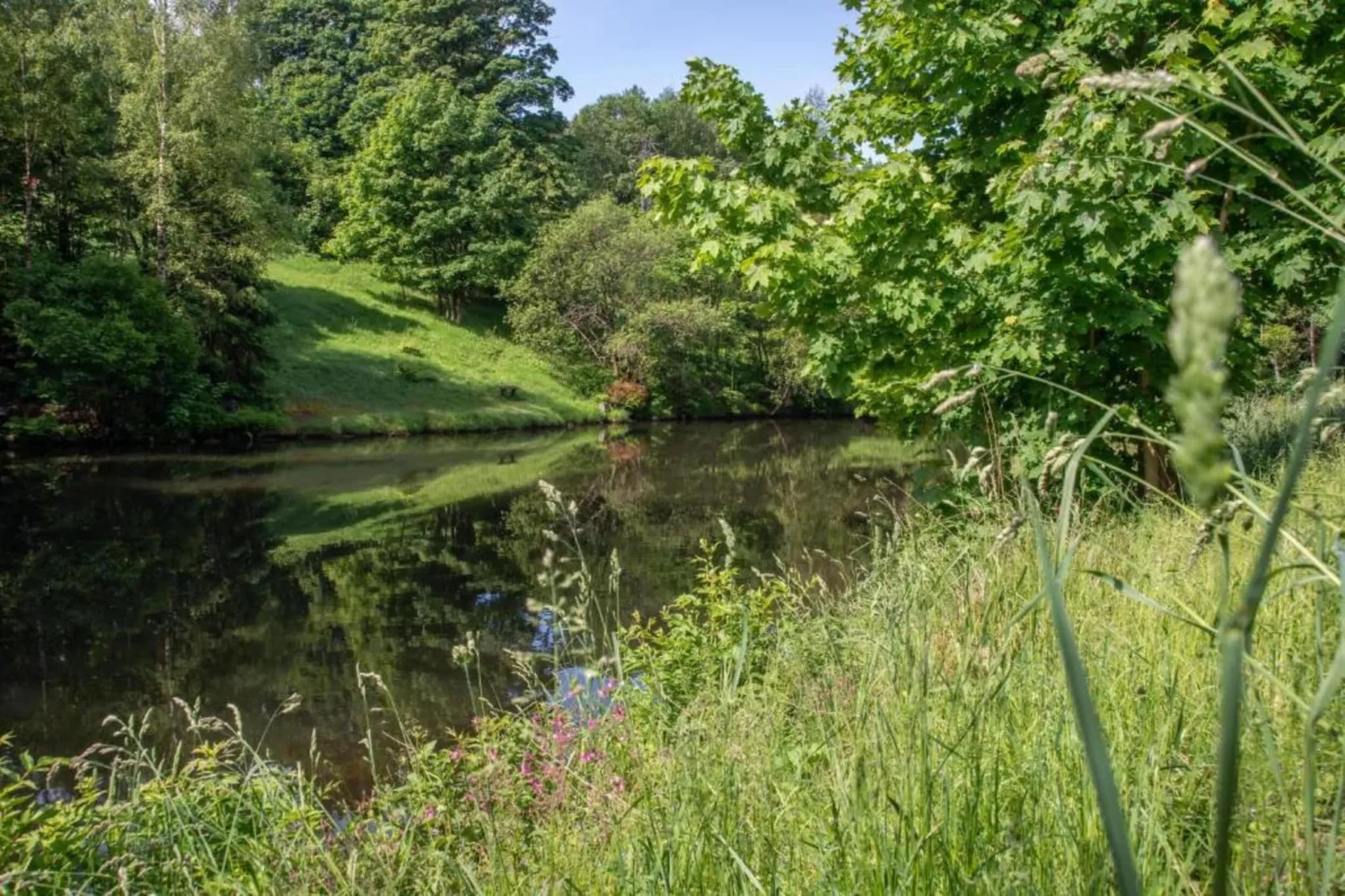 Monika-Areas within 5km in summer