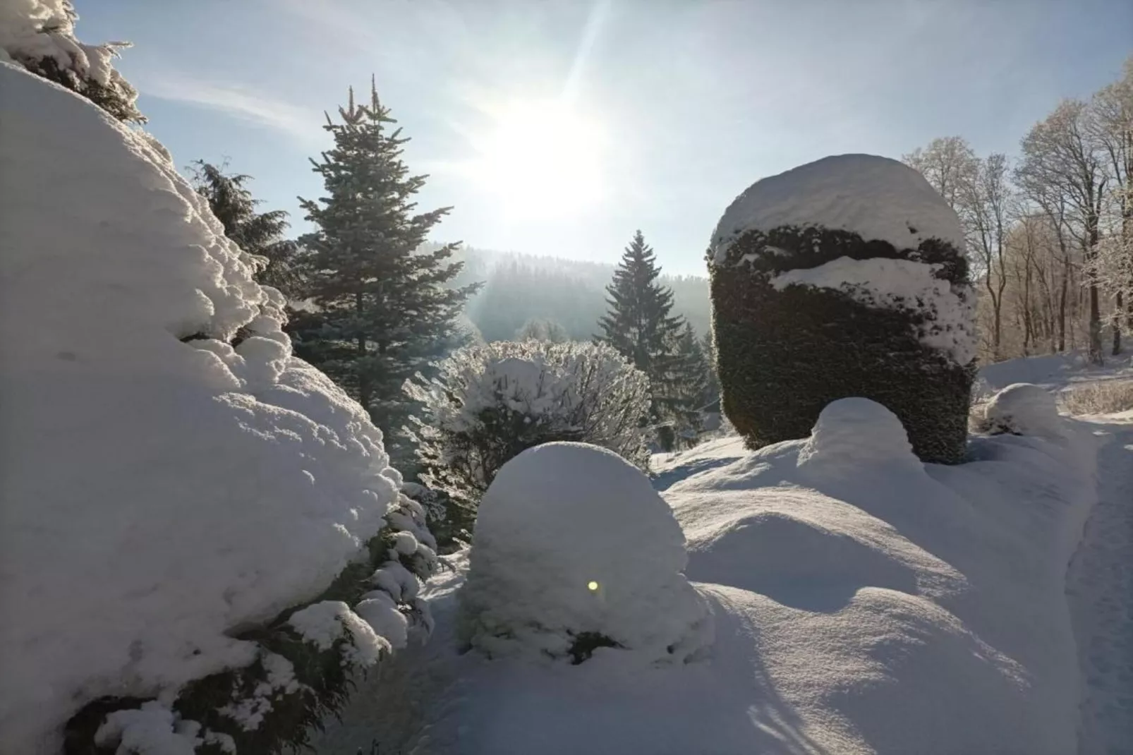 Rokytno-Area within 20km in winter