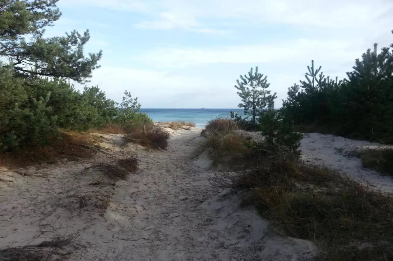 Lachmöwe 2-Areas within 20km in summer