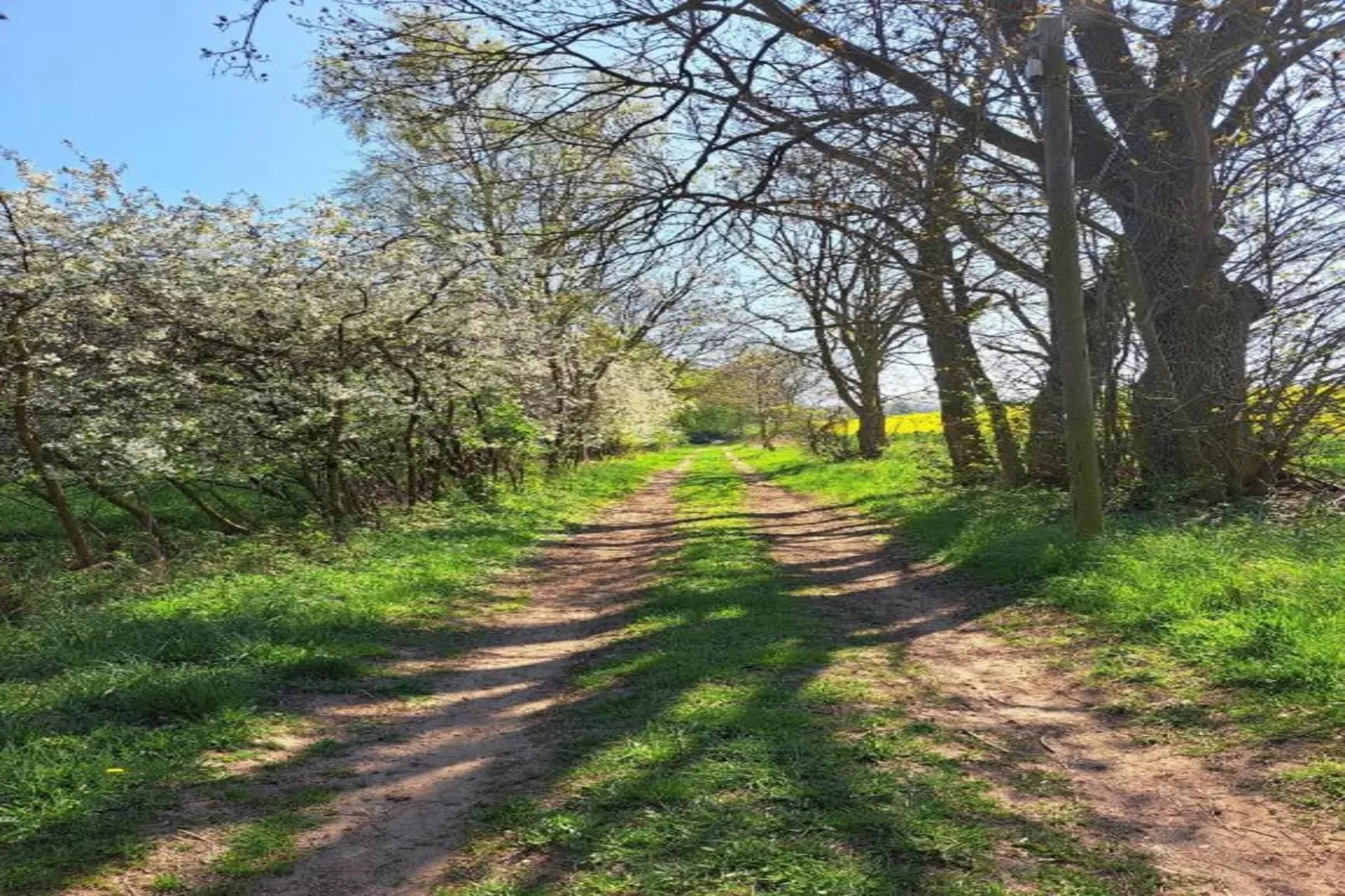 Gartenblick bei Gerdshagen-Areas within 20km in summer