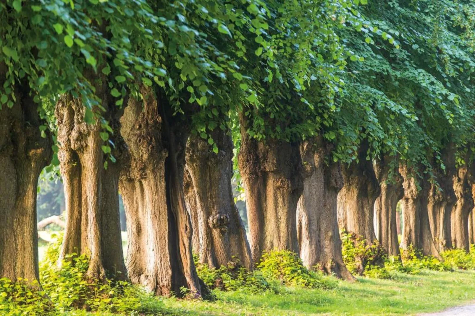 Familienurlaub in der Natur-Zones été à 20 km