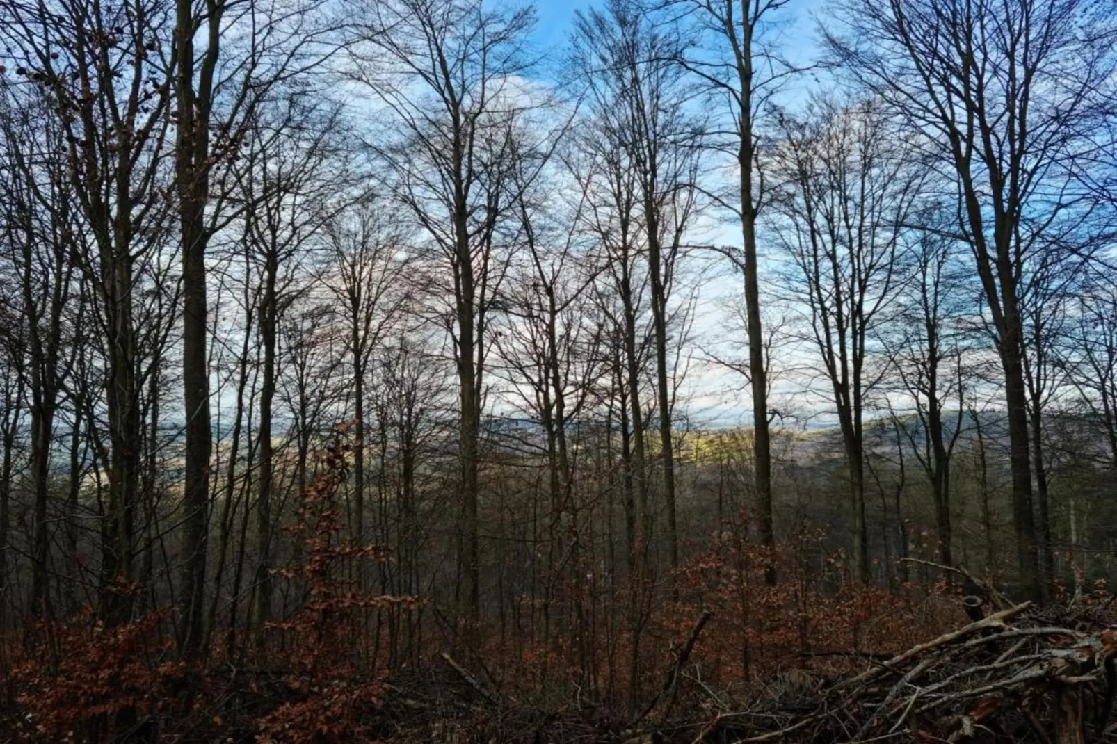 Ferienwohnung Landidyll am Salzhaff-Gebiete Sommer 20 km
