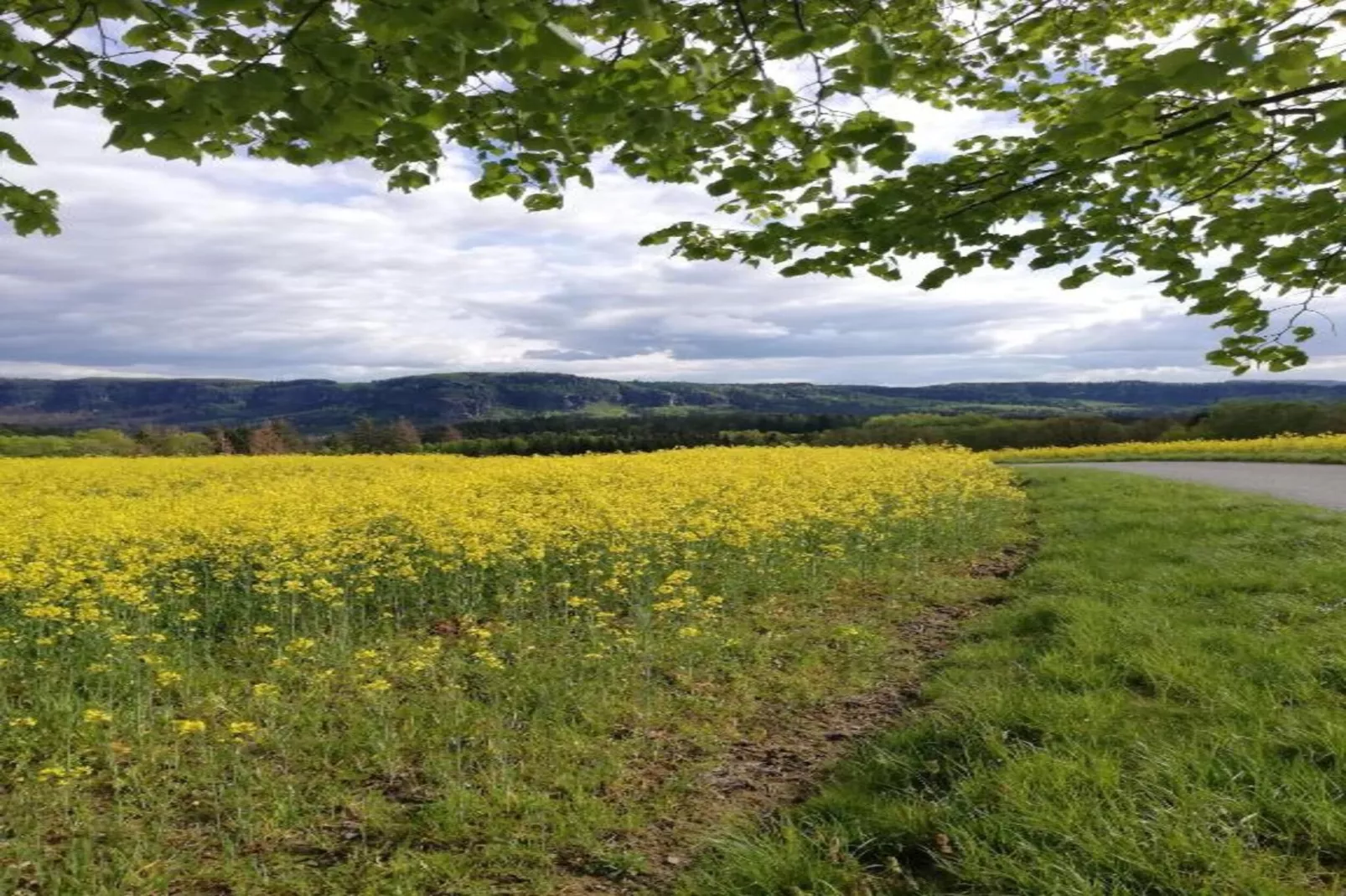 Sächsische Schweiz-Gebiete Sommer 5 km