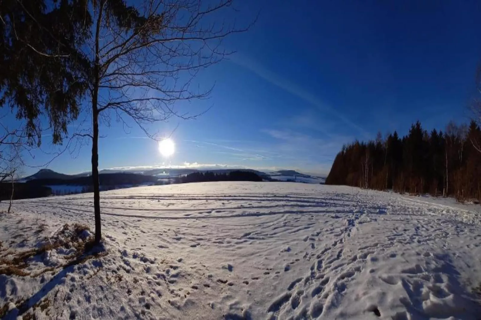 Honighäusl-Gebiet Winter 20 km