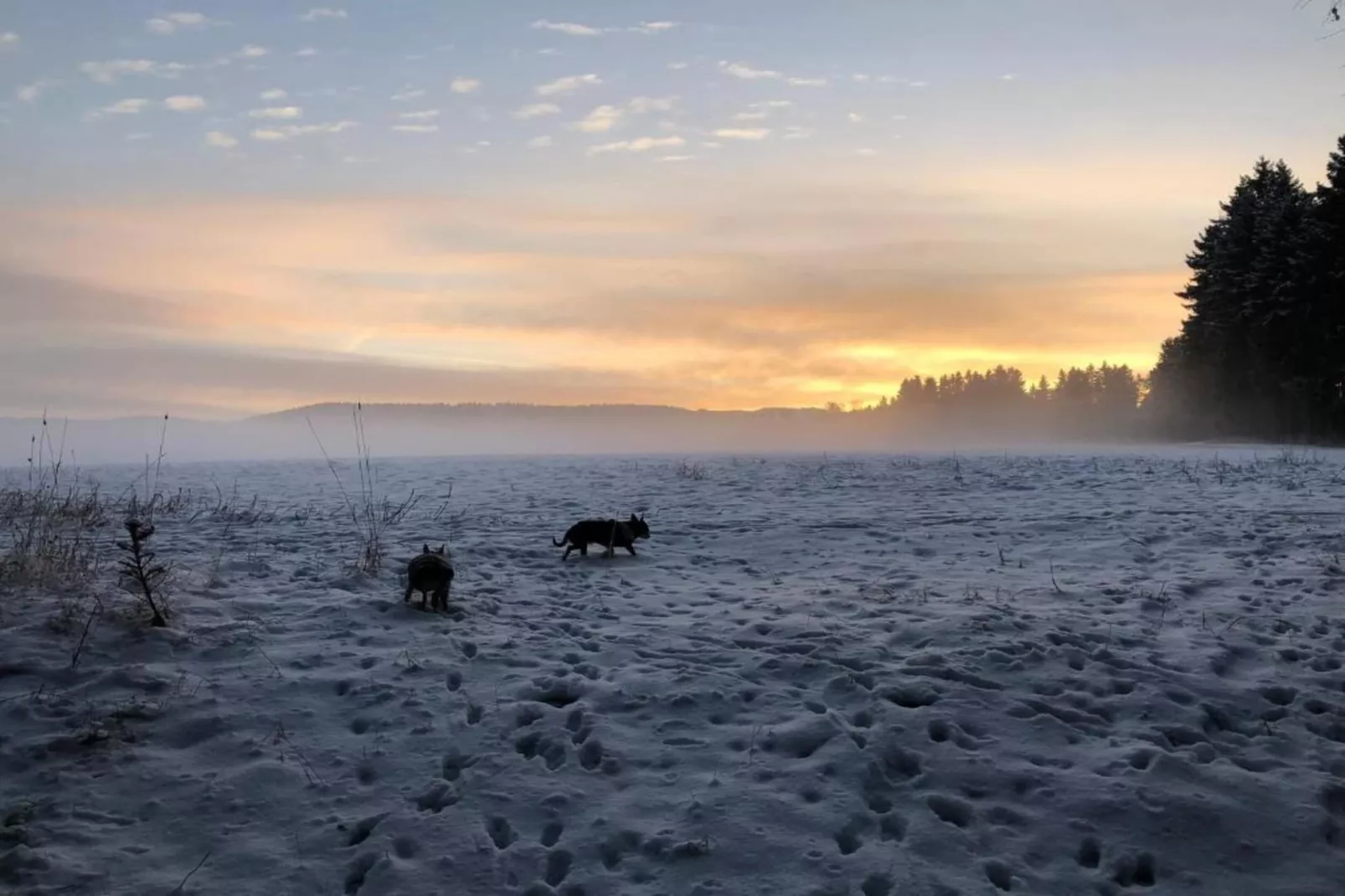 Ferienwohnung an der Talsperre Rauschenbach-Area within 20km in winter