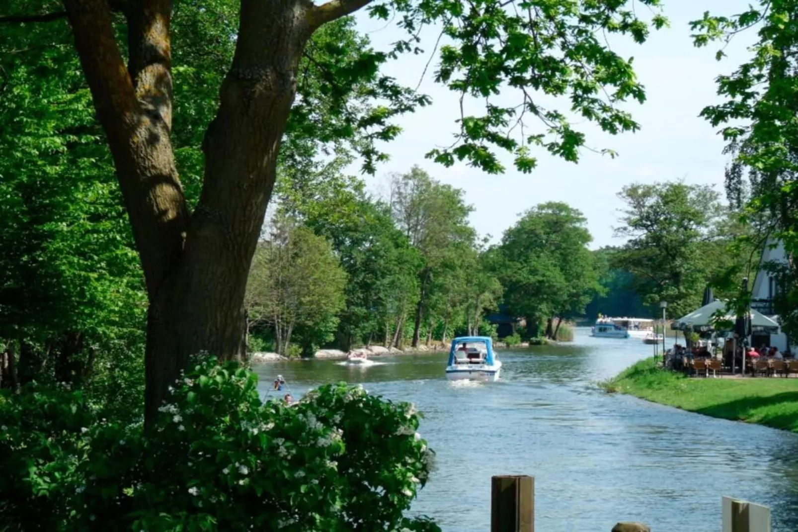 Dorle-Areas within 20km in summer