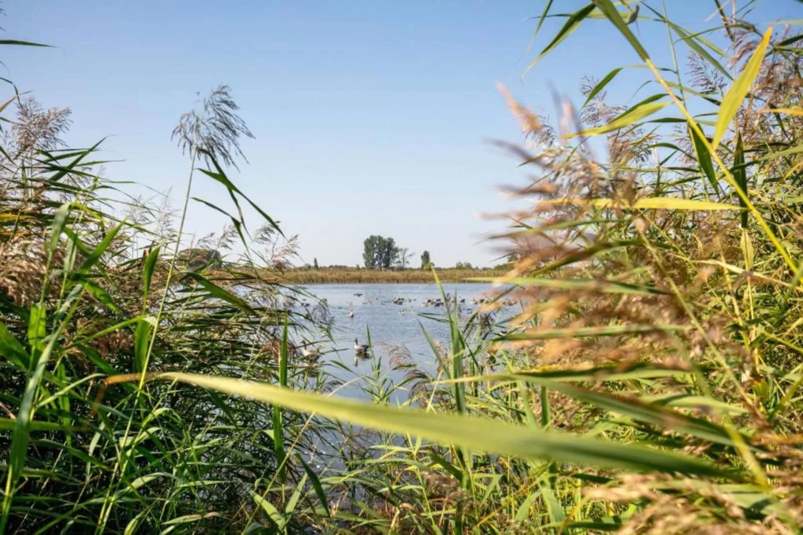 Ferienhaus Storchenblick-Zones été à 20 km