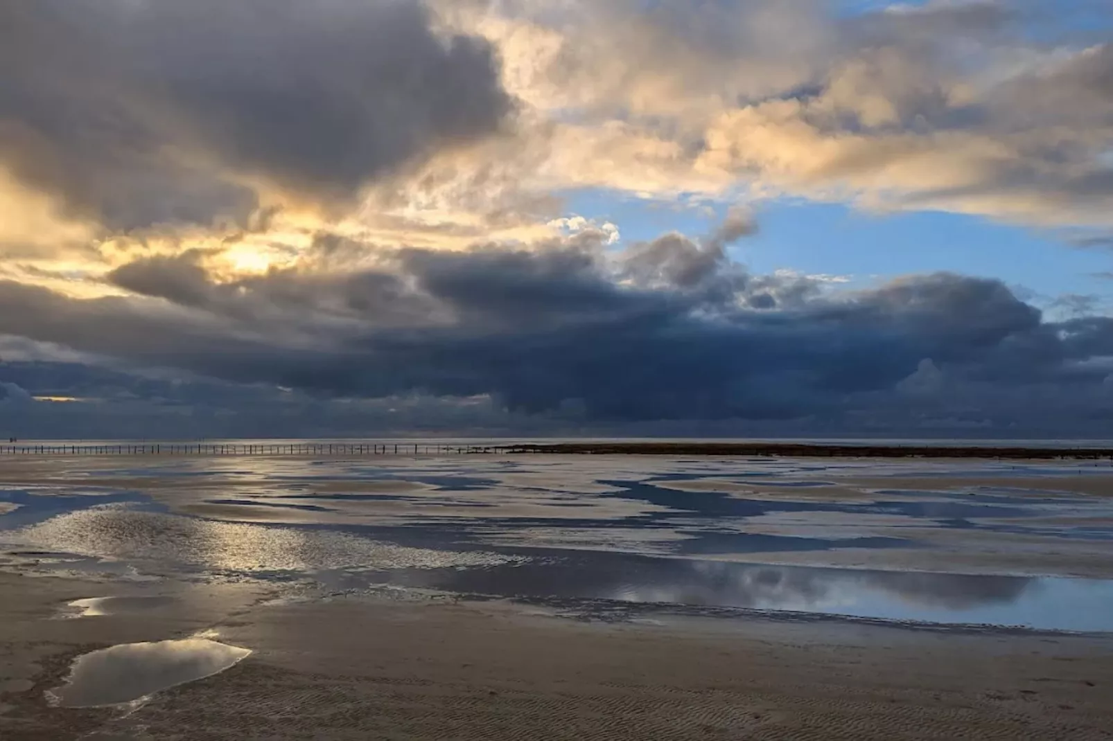 Ferienwohnung Salzwiesen St Peter-Ording-Gebiete Sommer 5 km