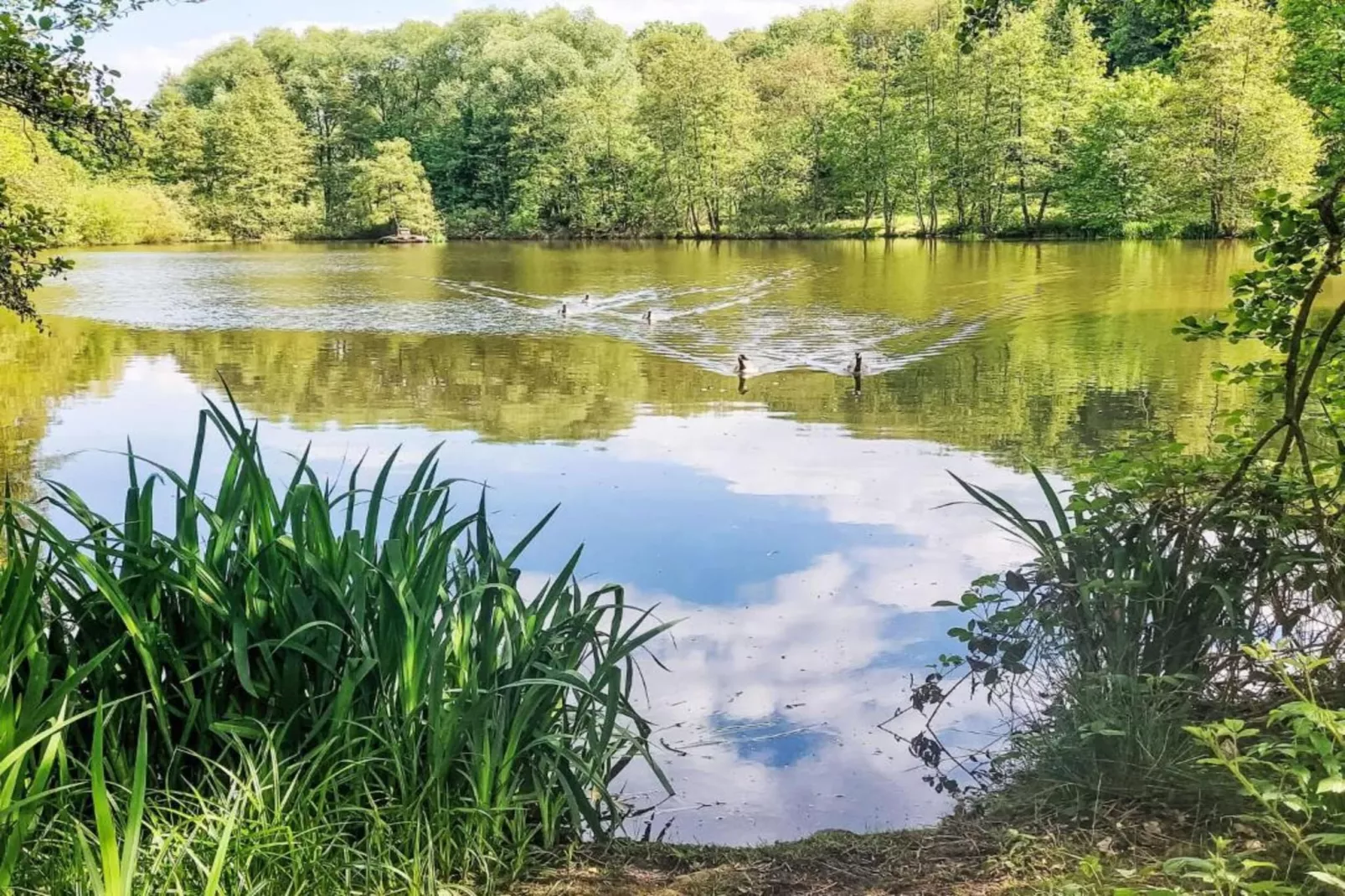 Am Sternberg-Areas within 20km in summer