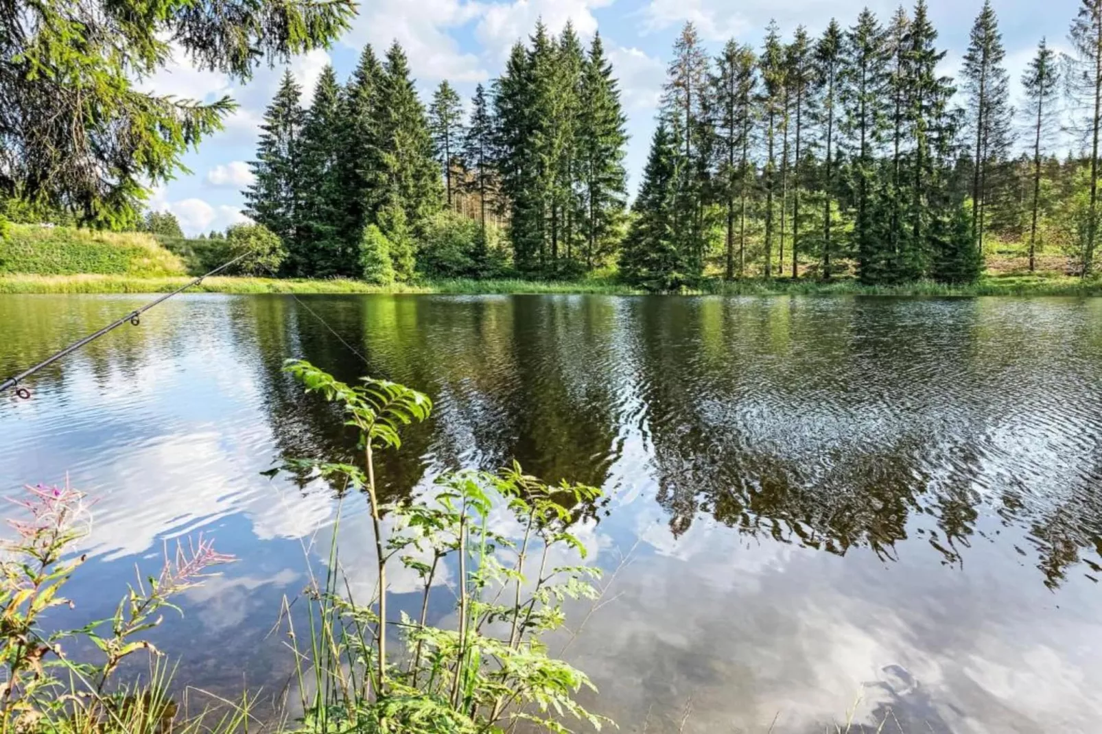 Kamschlacken-Areas within 5km in summer