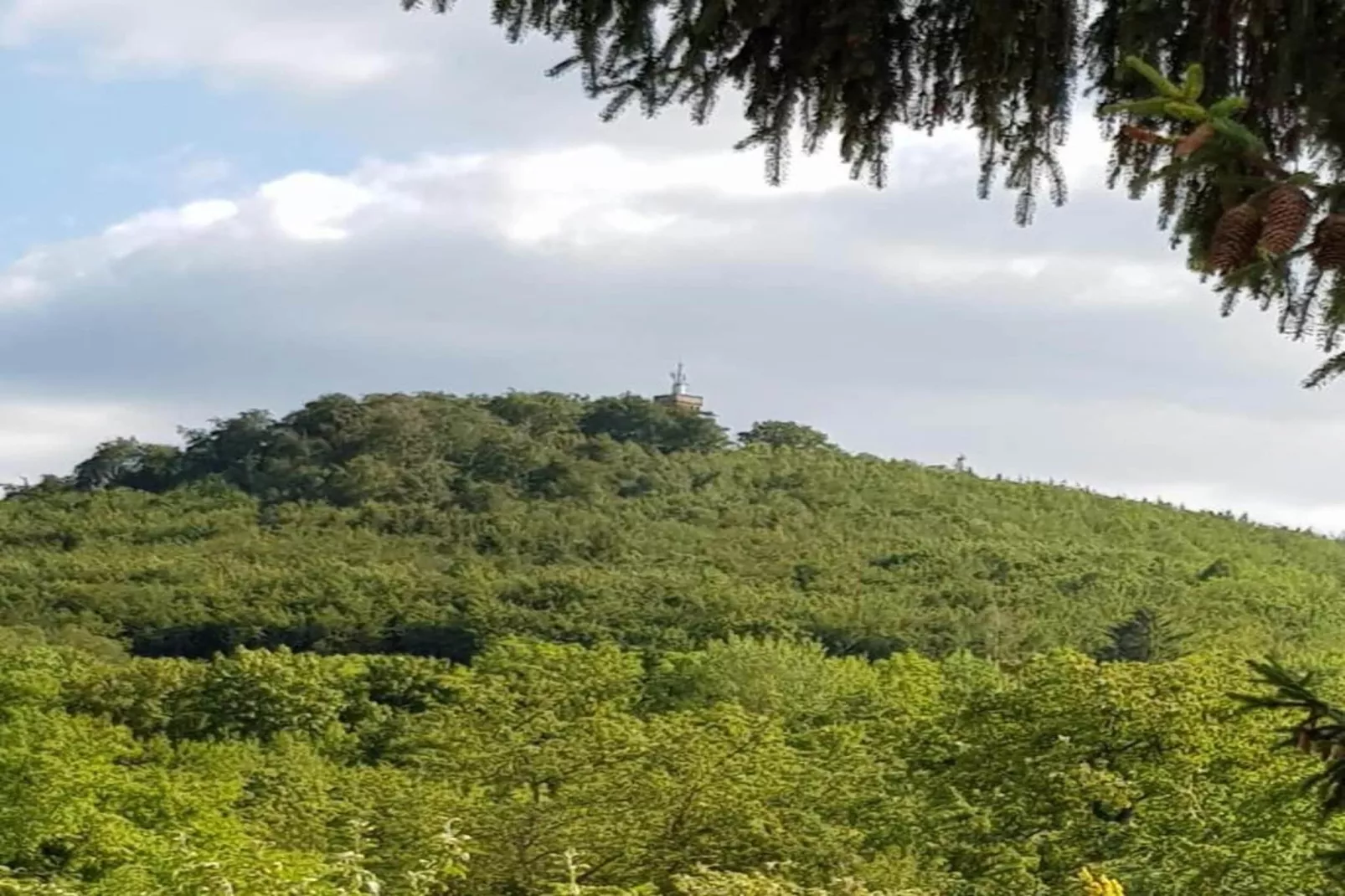 Blankenburg-Gebiete Sommer 5 km