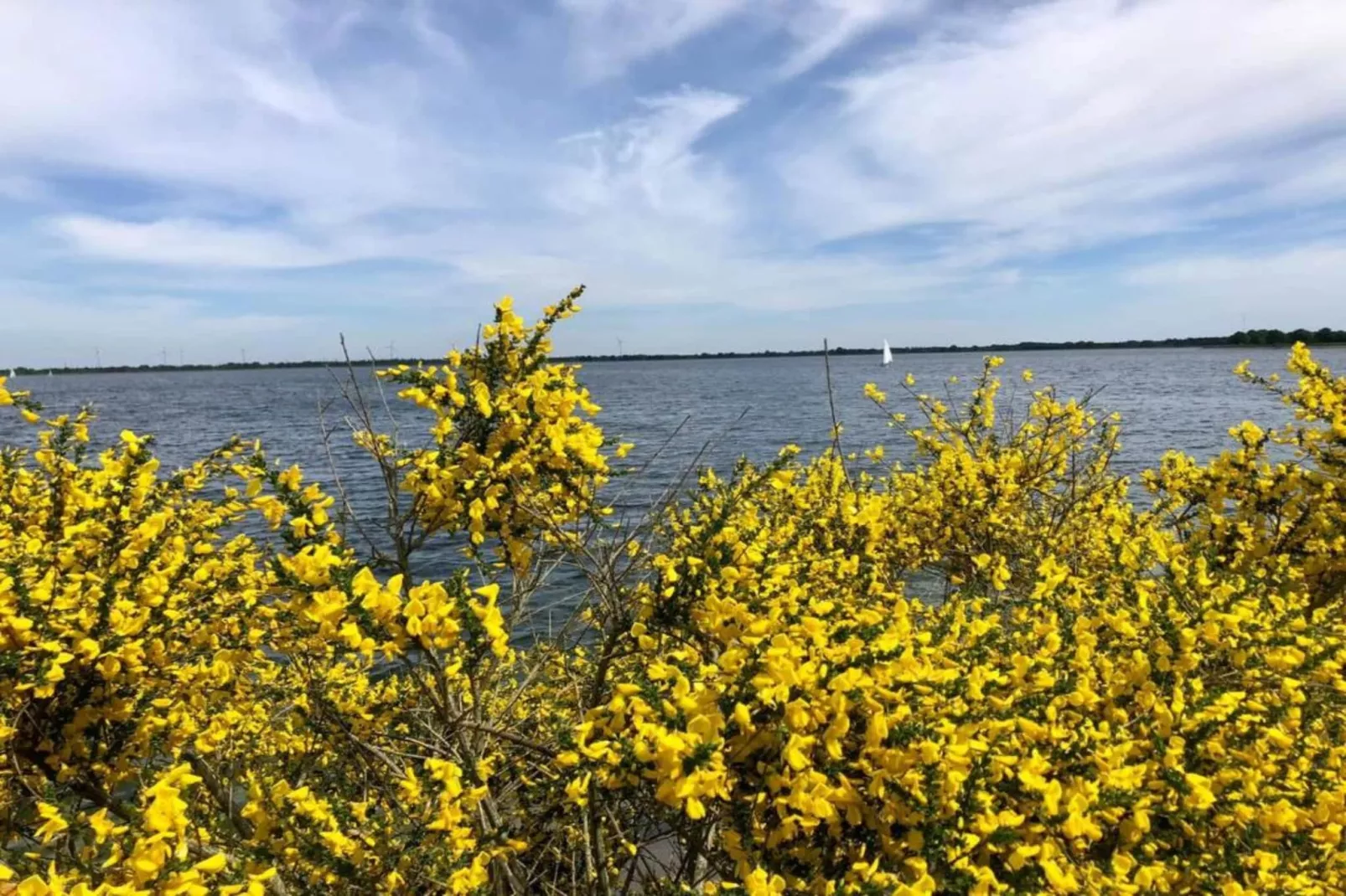 Ferienresort Bad Bentheim 9-Areas within 20km in summer