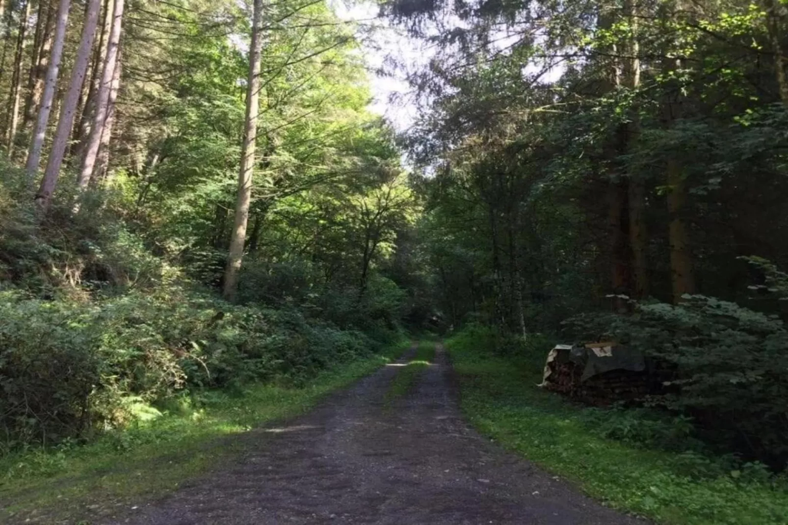 Pilmer 20-Areas within 20km in summer