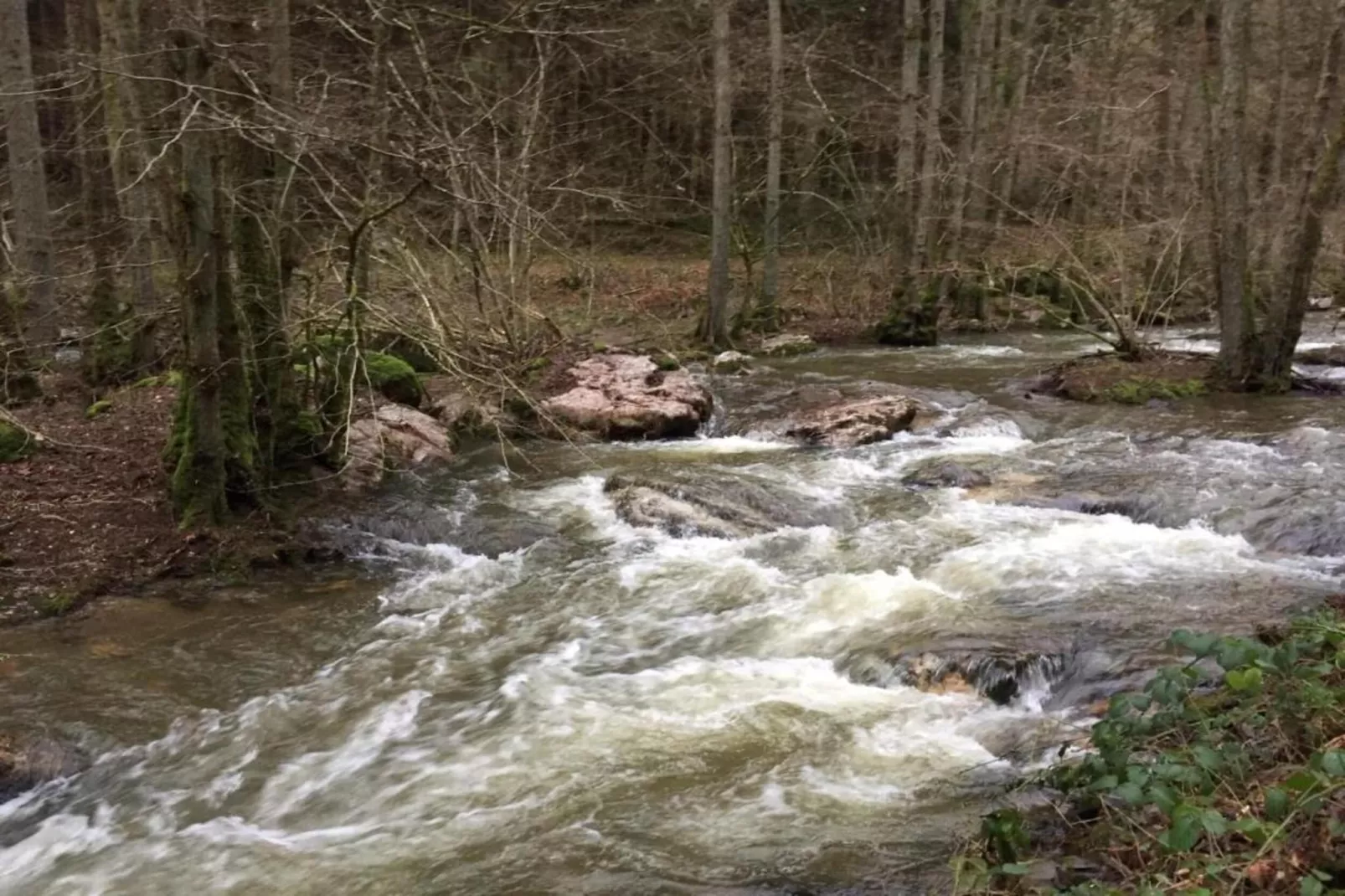 Schwalbennest-Areas within 5km in summer