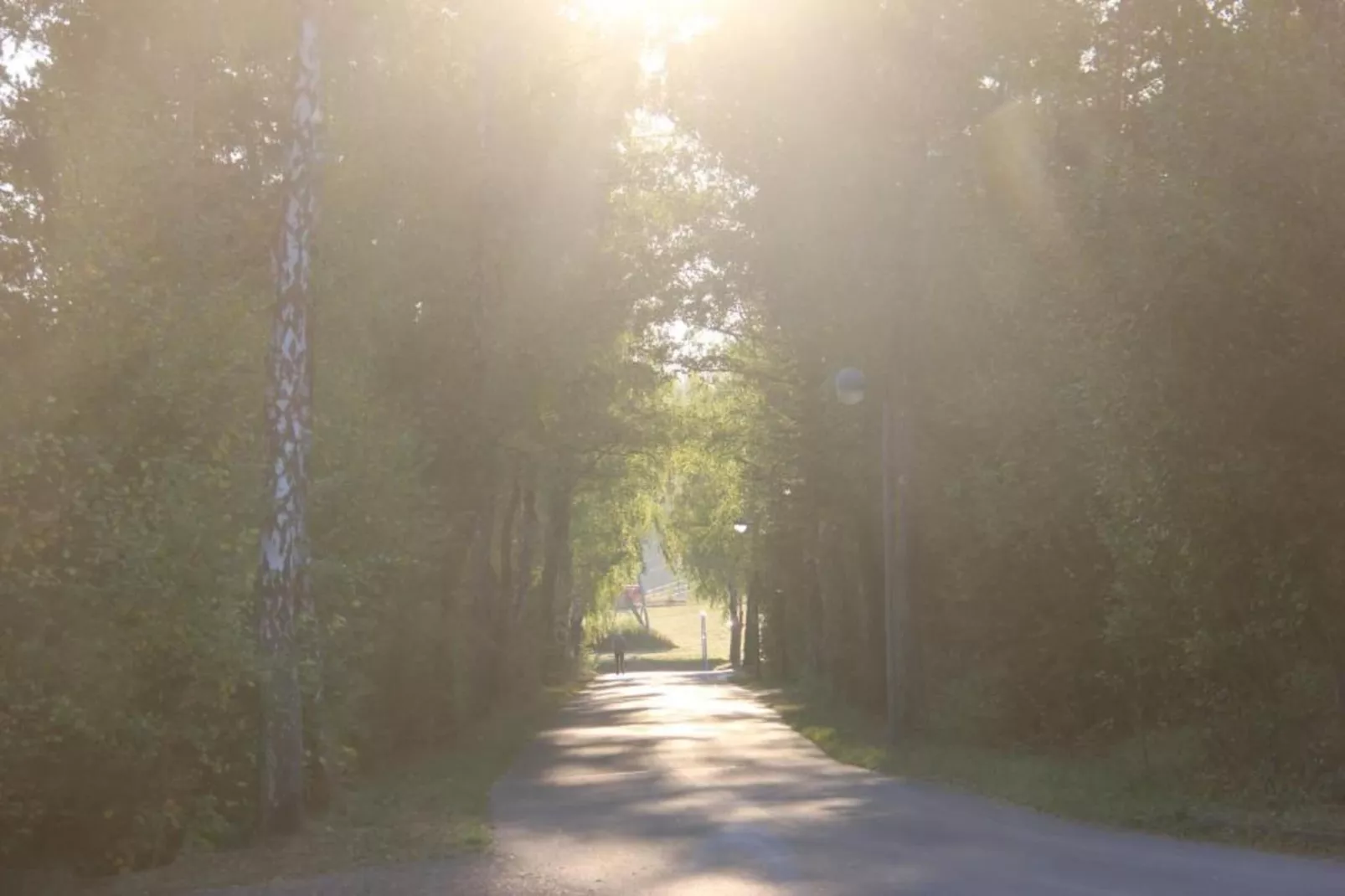 Hillesheim-Areas within 20km in summer