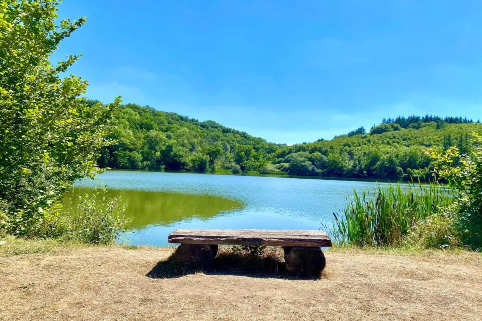 Eifelherz-Gebiete Sommer 20 km