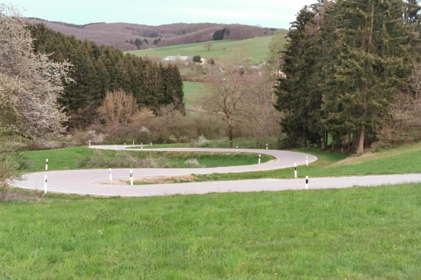 Feriendorf Reinskopf 1-Areas within 5km in summer
