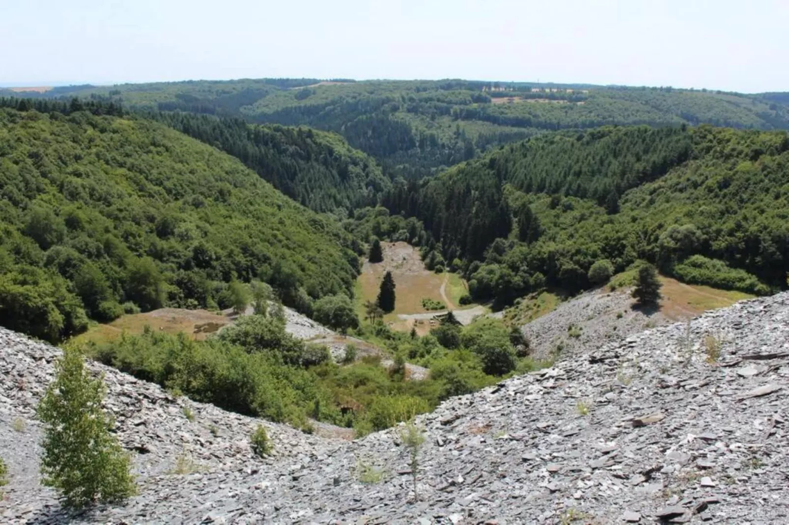 Mohr-Areas within 20km in summer